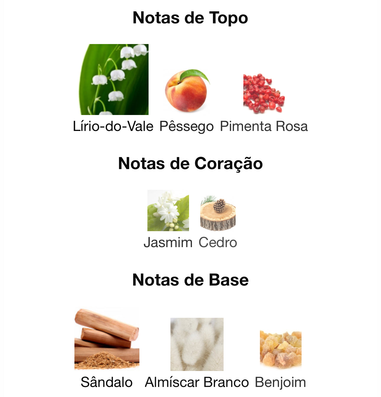 Decant Diwani Beirut Eau de Parfum 5 mL French Avenue