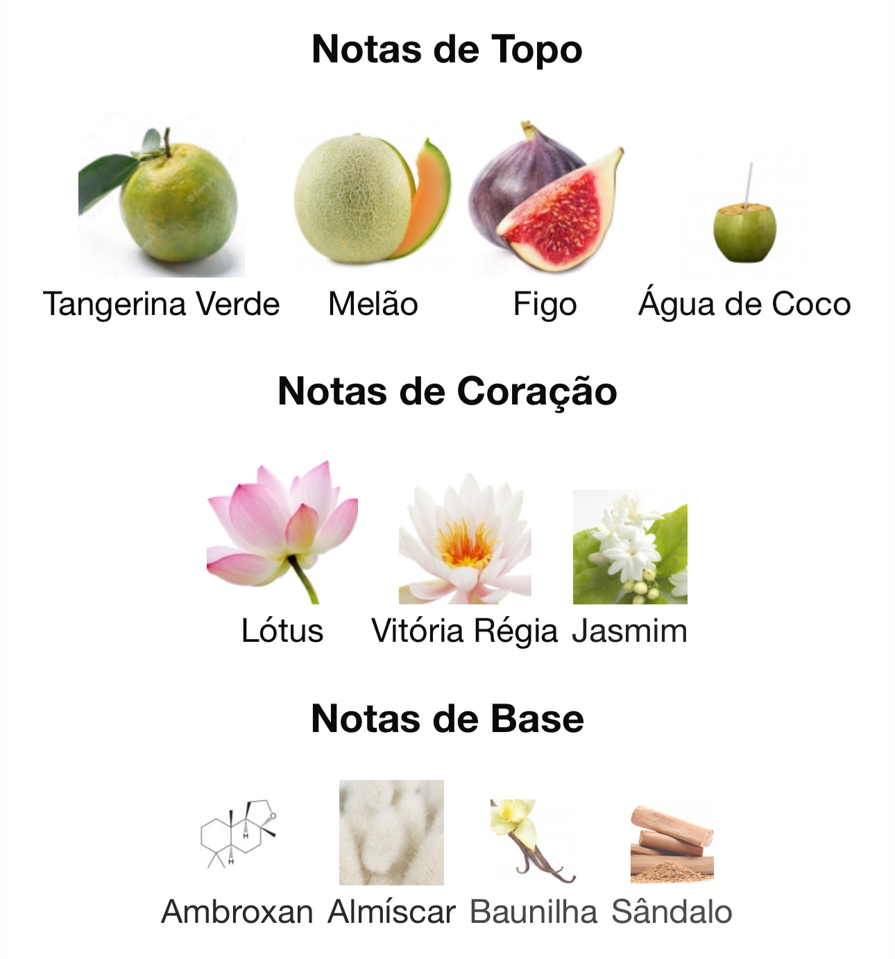 Decant Mayar Natural Intense Eau de Parfum 5 mL Lattafa