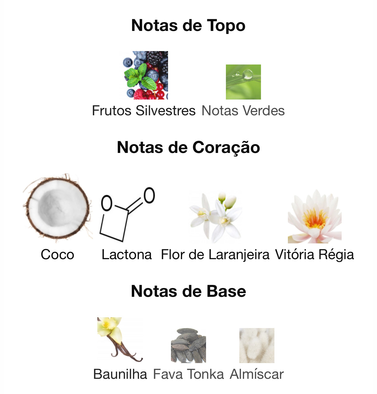 Decant 5 mL Eau de Parfum | Armaf