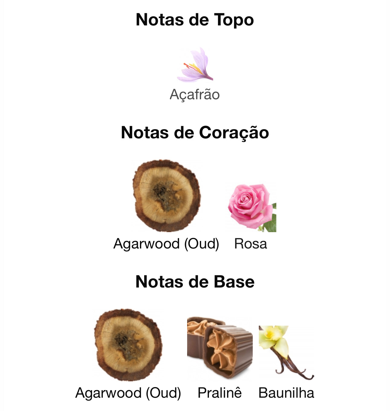 Shaghaf Oud Eau de Parfum 75 mL Swiss Arabian