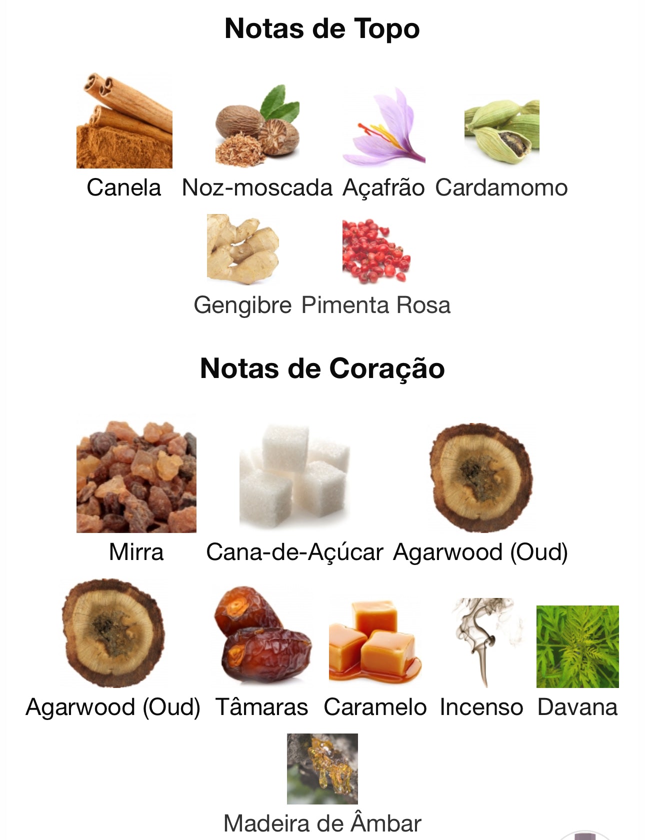 Cocoa Morado Eau de Parfum 100 mL | French Avenue