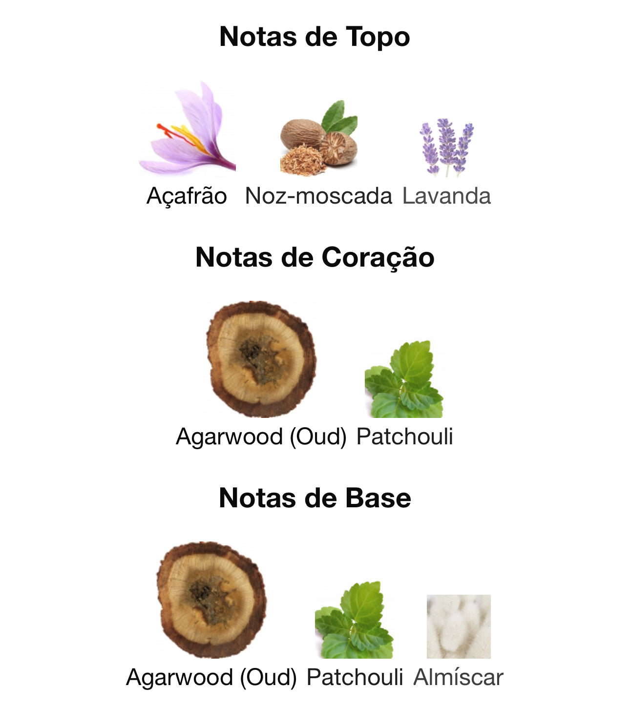 Badee Al Oud Oud of Glory Eau de Parfum 100 mL Lattafa