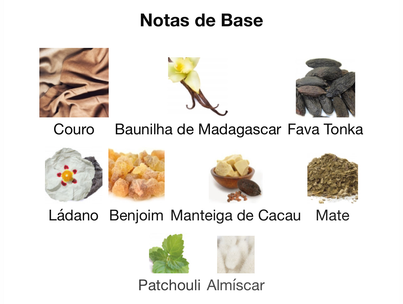 Cocoa Morado Eau de Parfum 100 mL | French Avenue