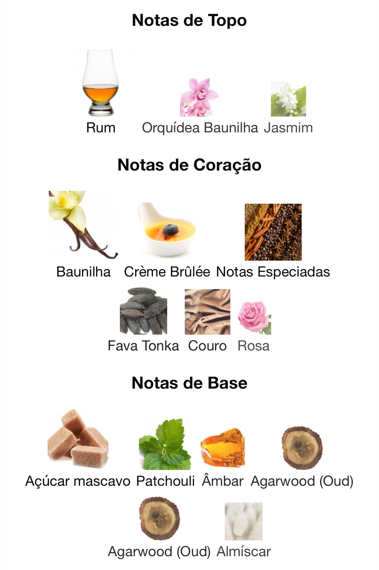 December Vanilla Eau de Parfum 100 mL | Paris Corner