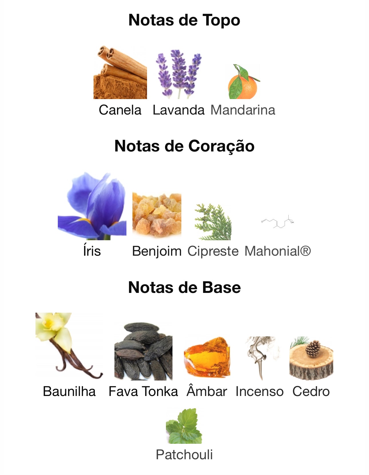 His Confession Eau de Parfum 100 mL | Lattafa