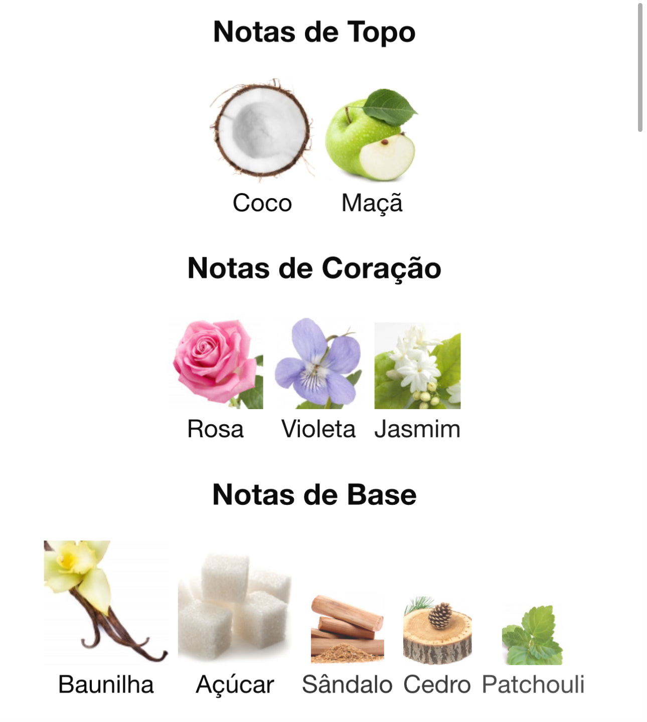 Qissa Pink Eau de Parfum 100 mL | Paris Corner