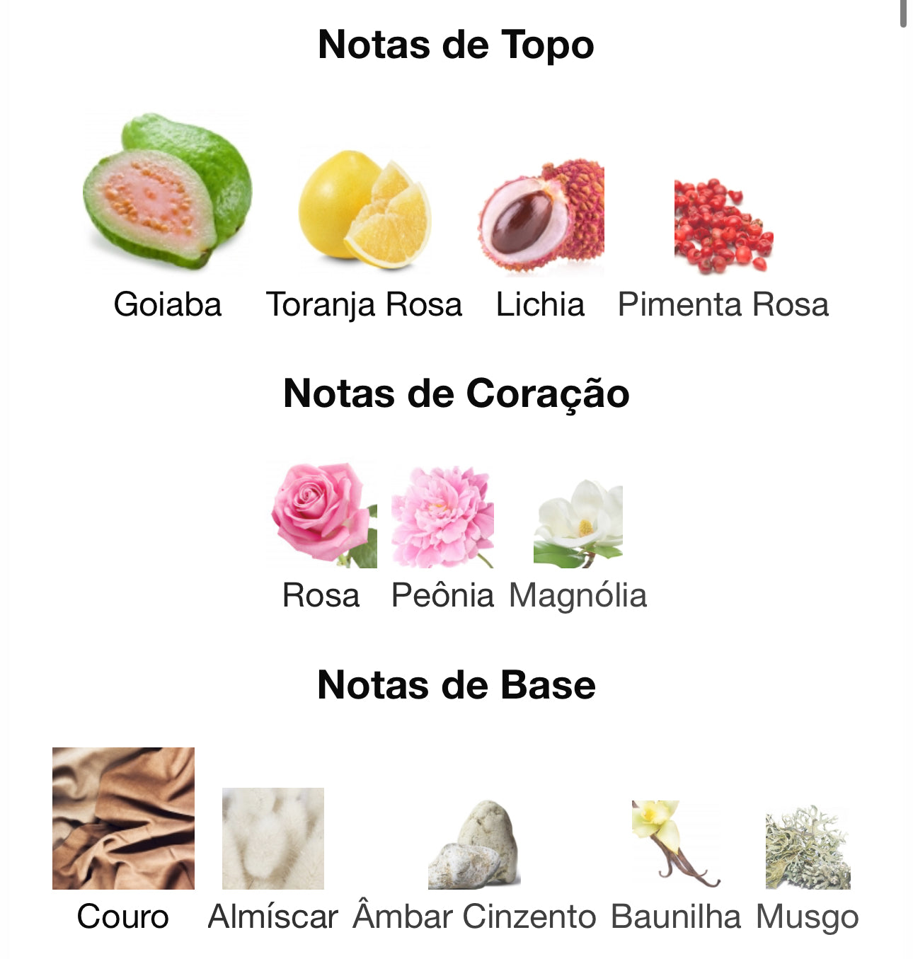 Decant Ajwad pink to pink Eau de parfum 5 mL | Lattafa