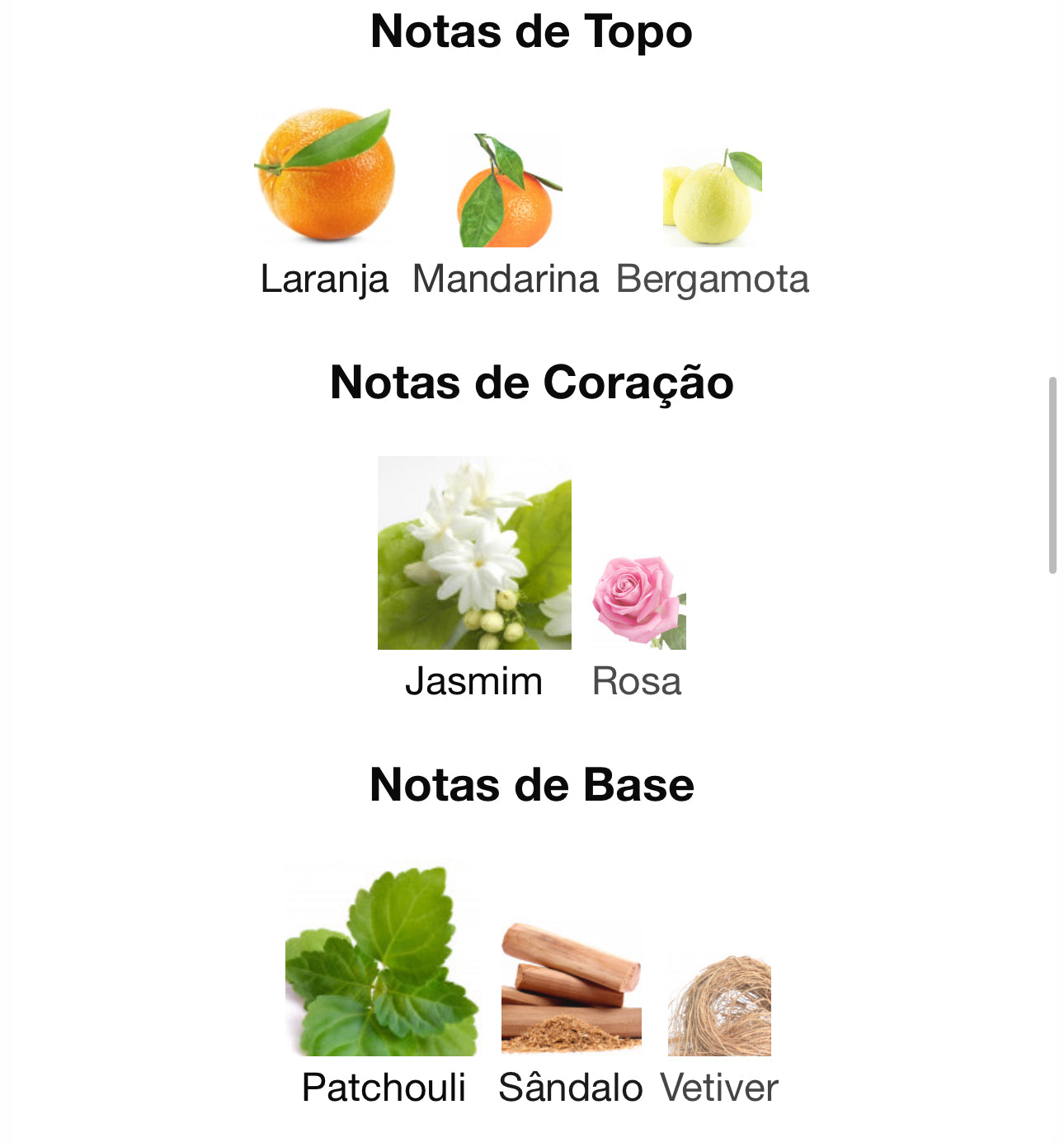 Decant Al Andaleeb Eau de Parfum 5 mL | Asdaaf