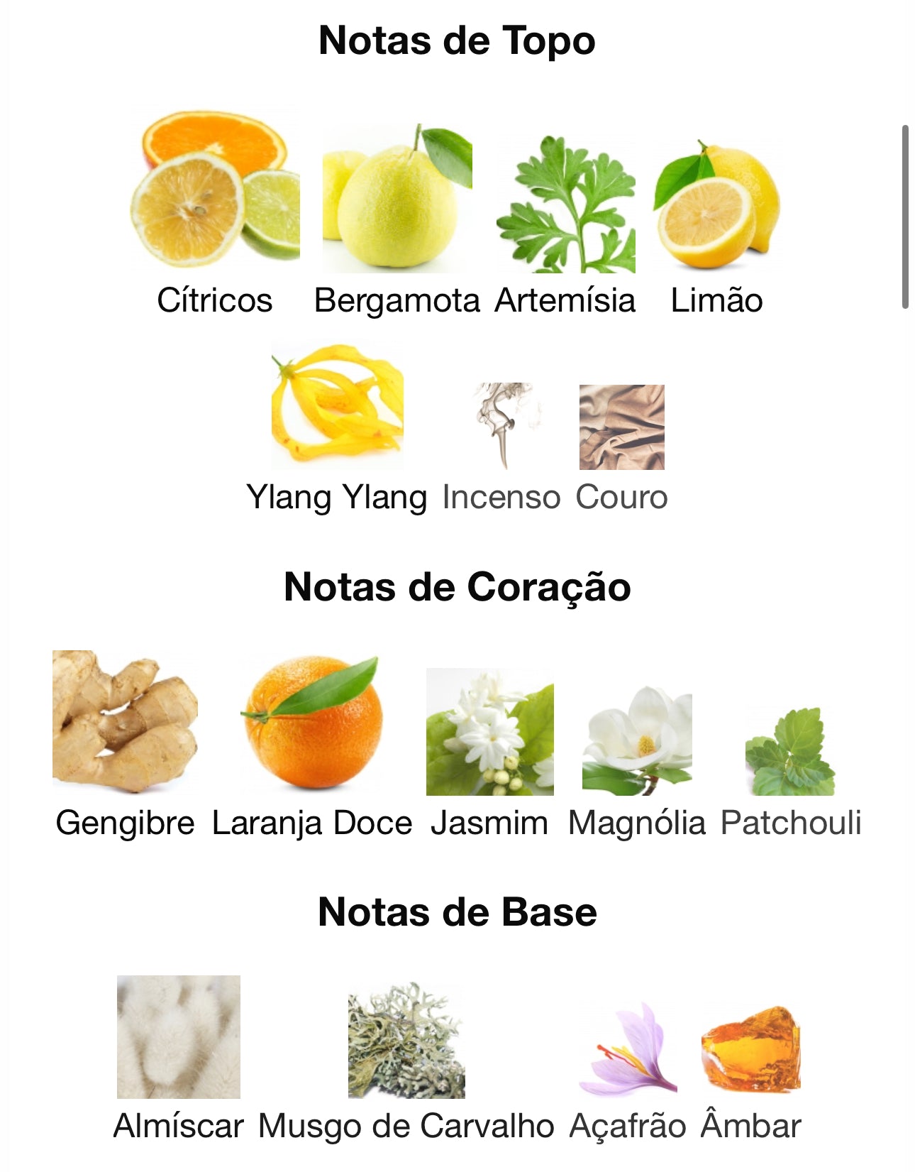 Qissa Blue Eau de Parfum 100 mL | Paris Corner