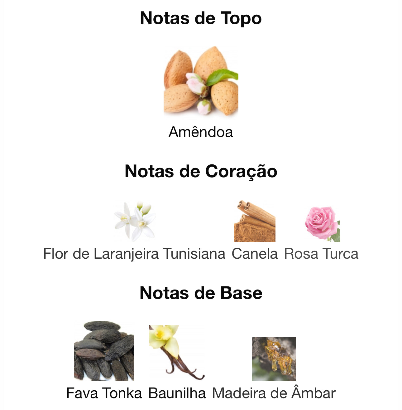 Shagaf Oud Tonka Eau de Parfum 75 mL | Swiss Arabian