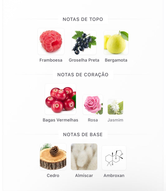 Orávea Eau de Parfum 100 mL | Paris Corner