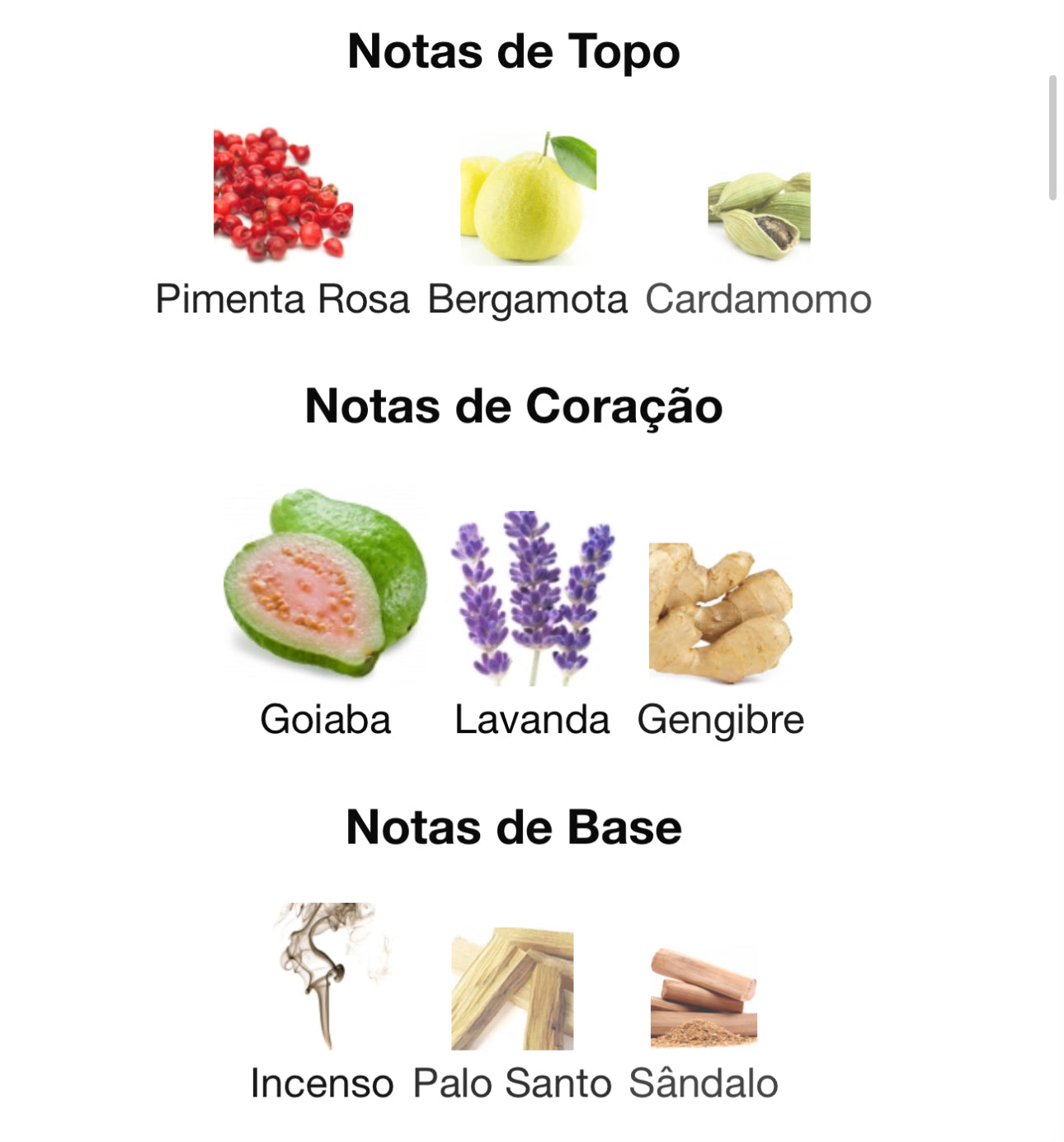 Fakhar Platin Eau de Parfum 100 mL | Lattafa