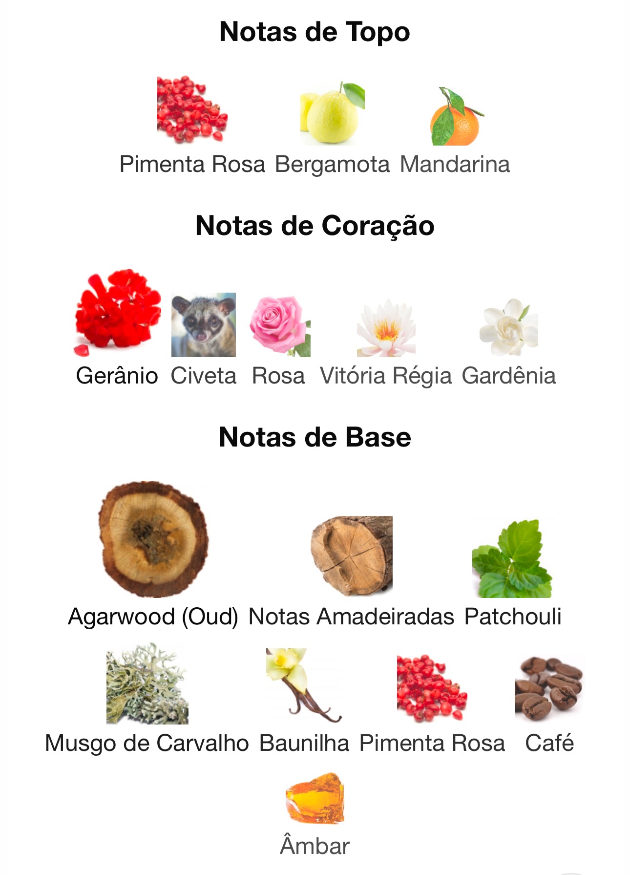 Decant Miraj Absolu Eau de Parfum 5mL | French Avenue