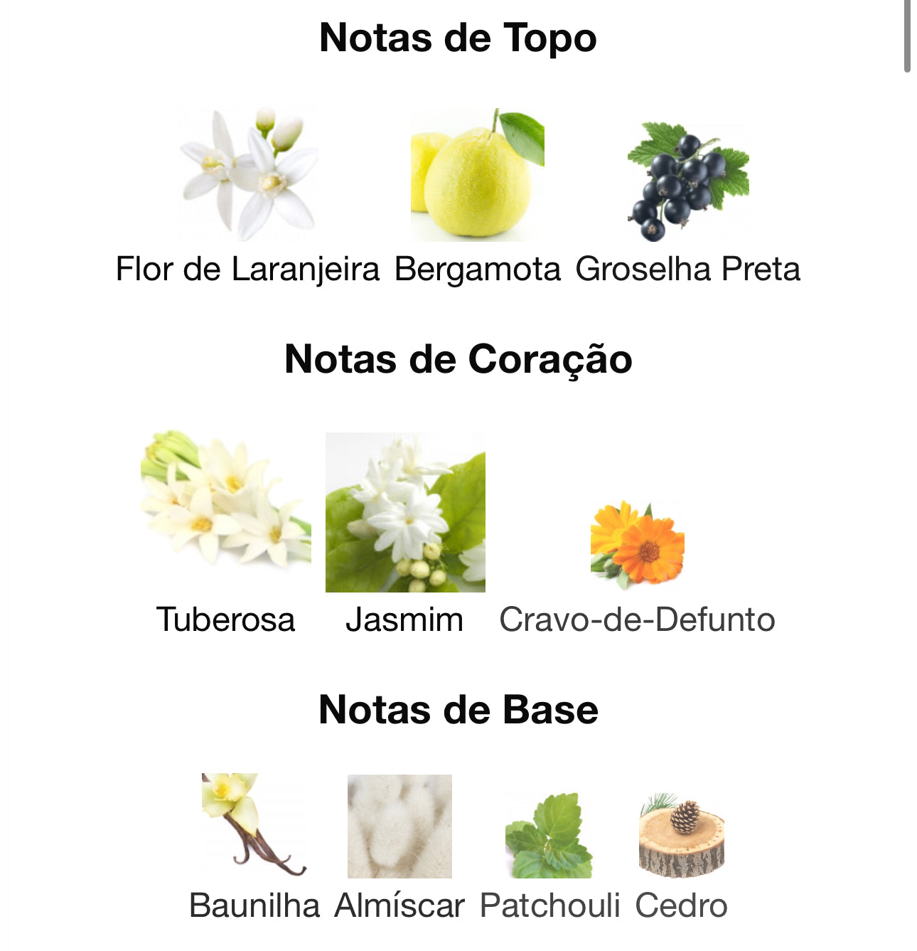 Decant Emaan 5 mL Eau de Parfum | Lattafa