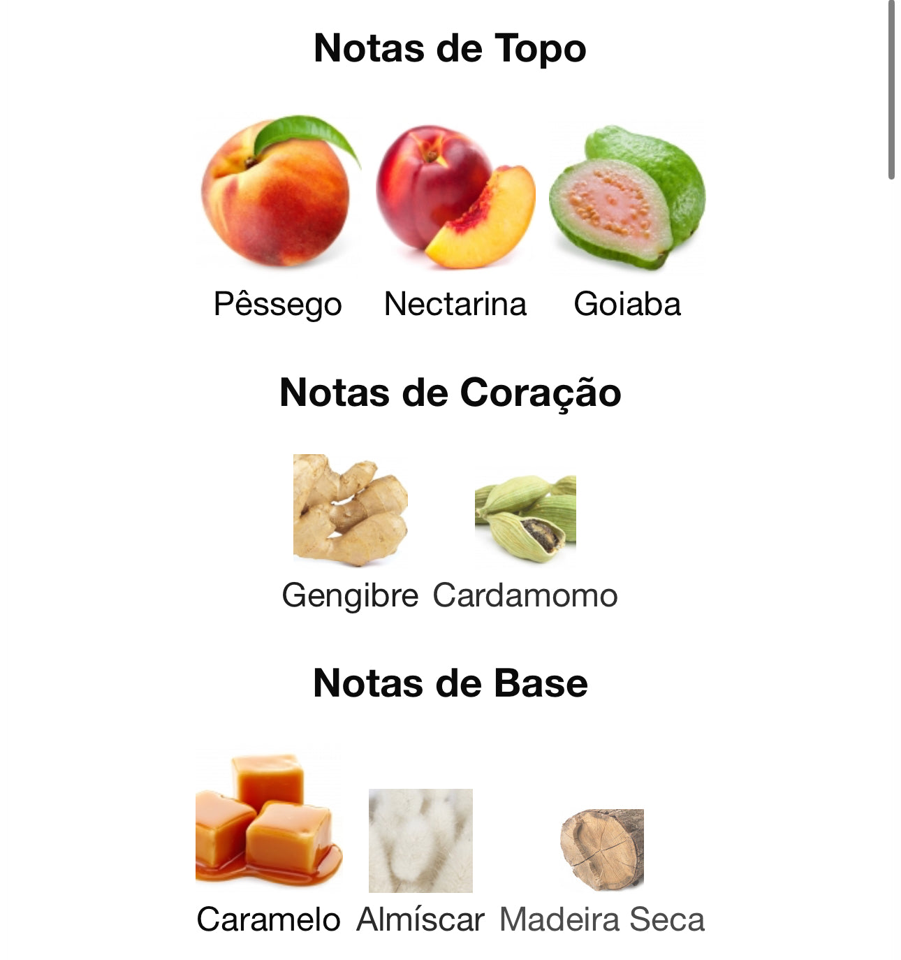 Khair Peach Delulu Eau de Parfum 100 mL | Paris Corner