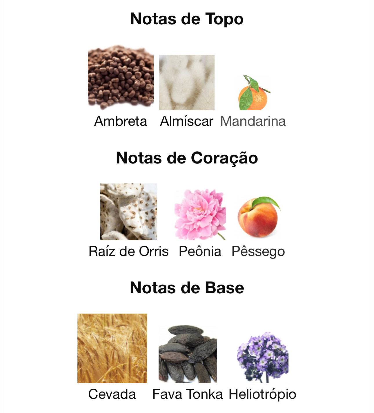 Sweet Paradise Eau de Parfum 100 mL | French Avenue