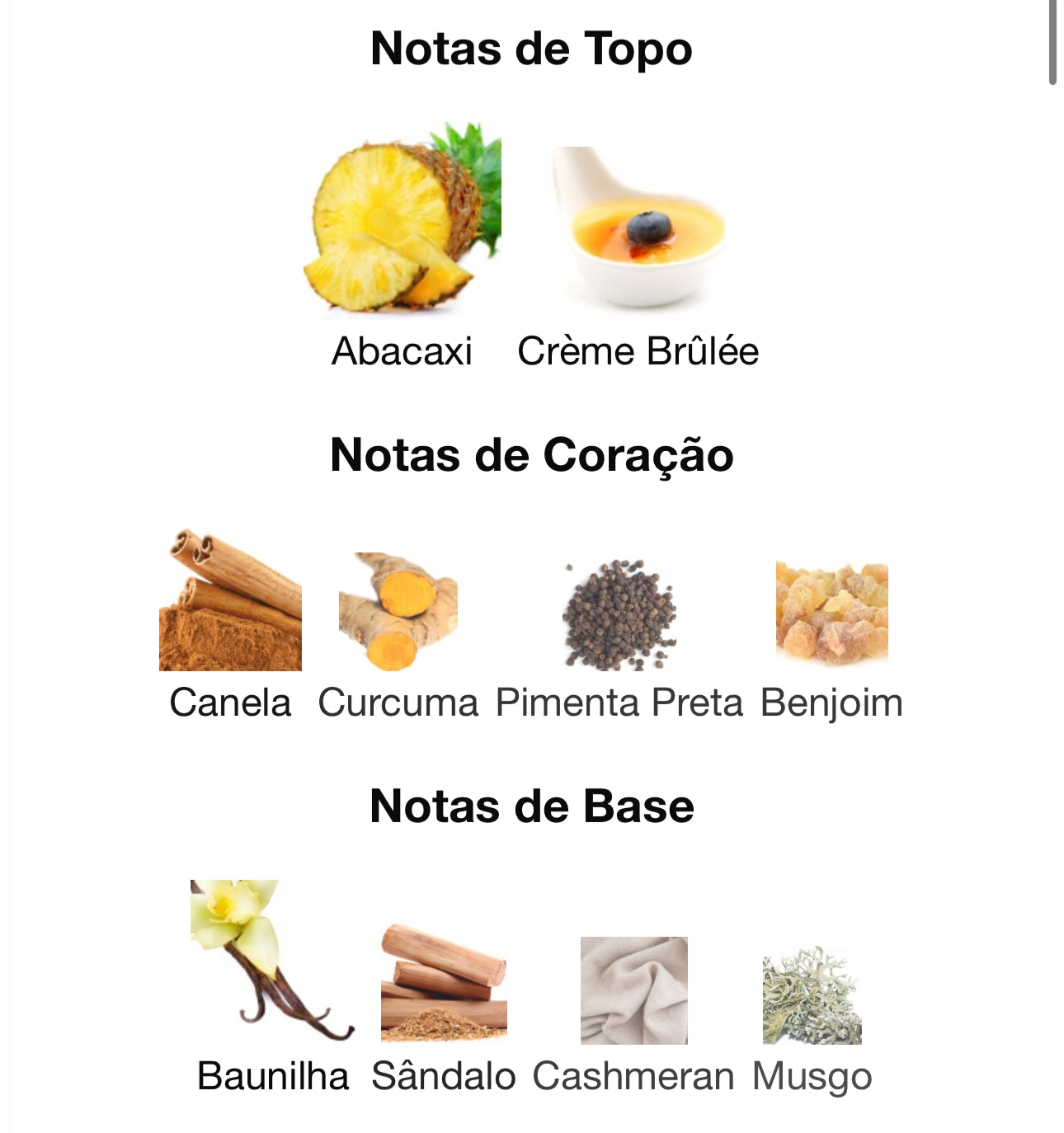 Decant Bade'e Al Oud Honor & Glory Eau de Parfum 5 mL | Lattafa