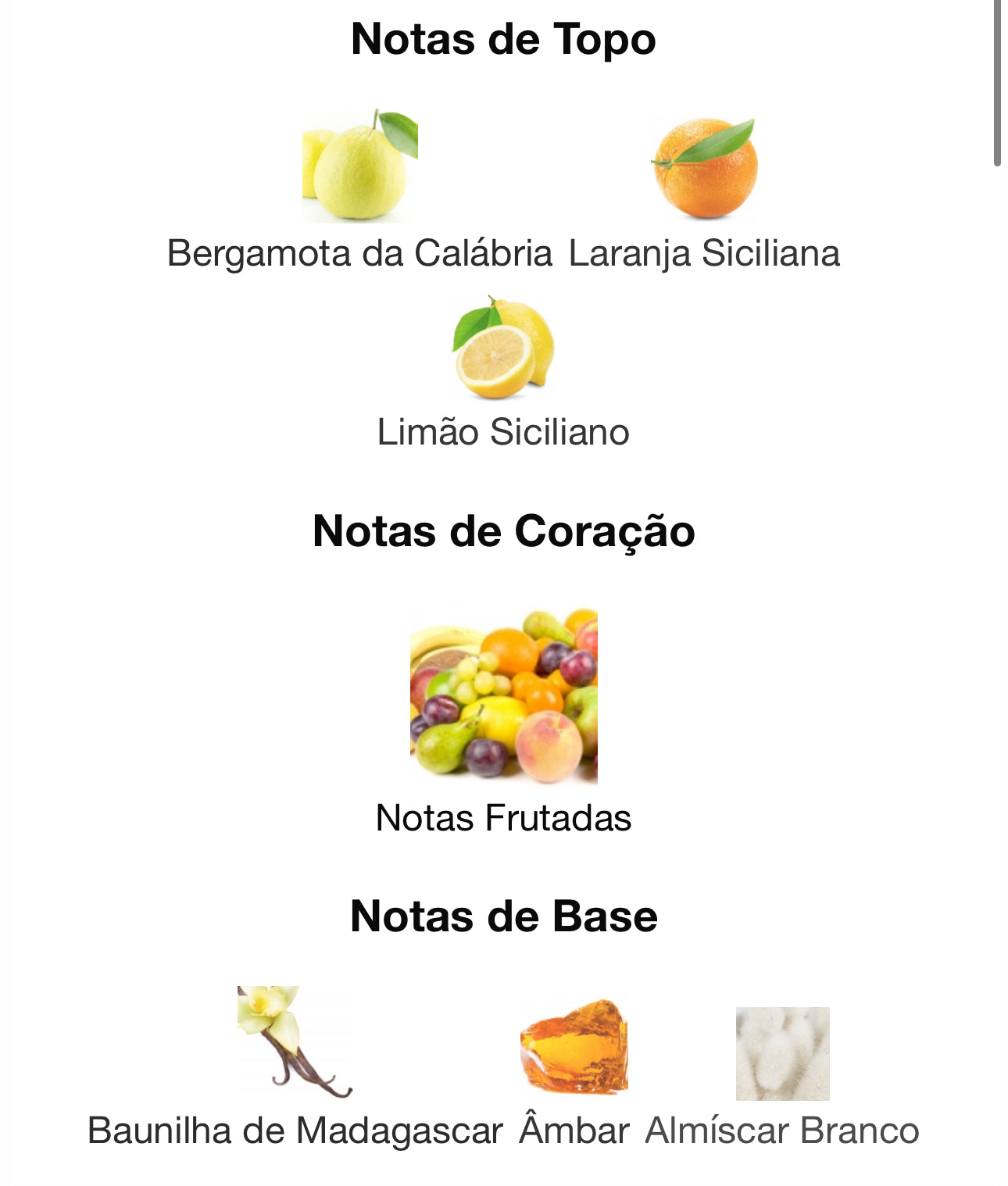 Decant Voux Turquoise Eau de Parfum 5 mL | Paris Corner