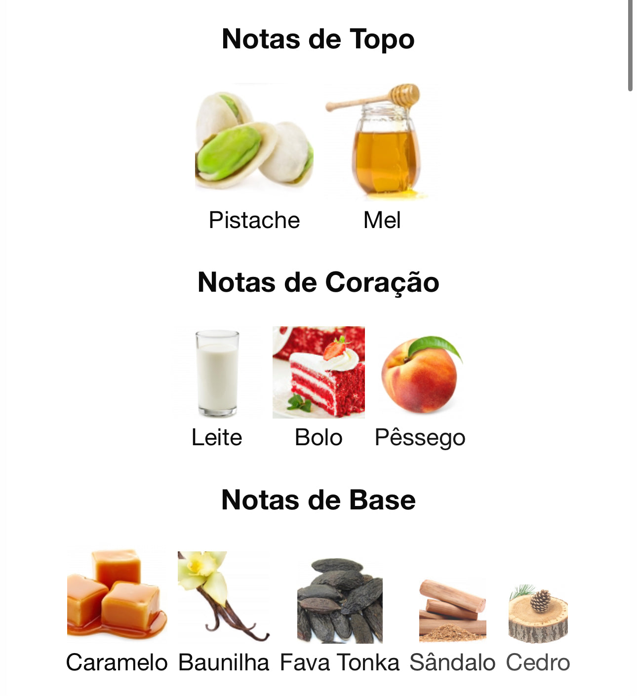 Decant Baklava Bite Eau de Parfum 5 mL | Gulf Orchid