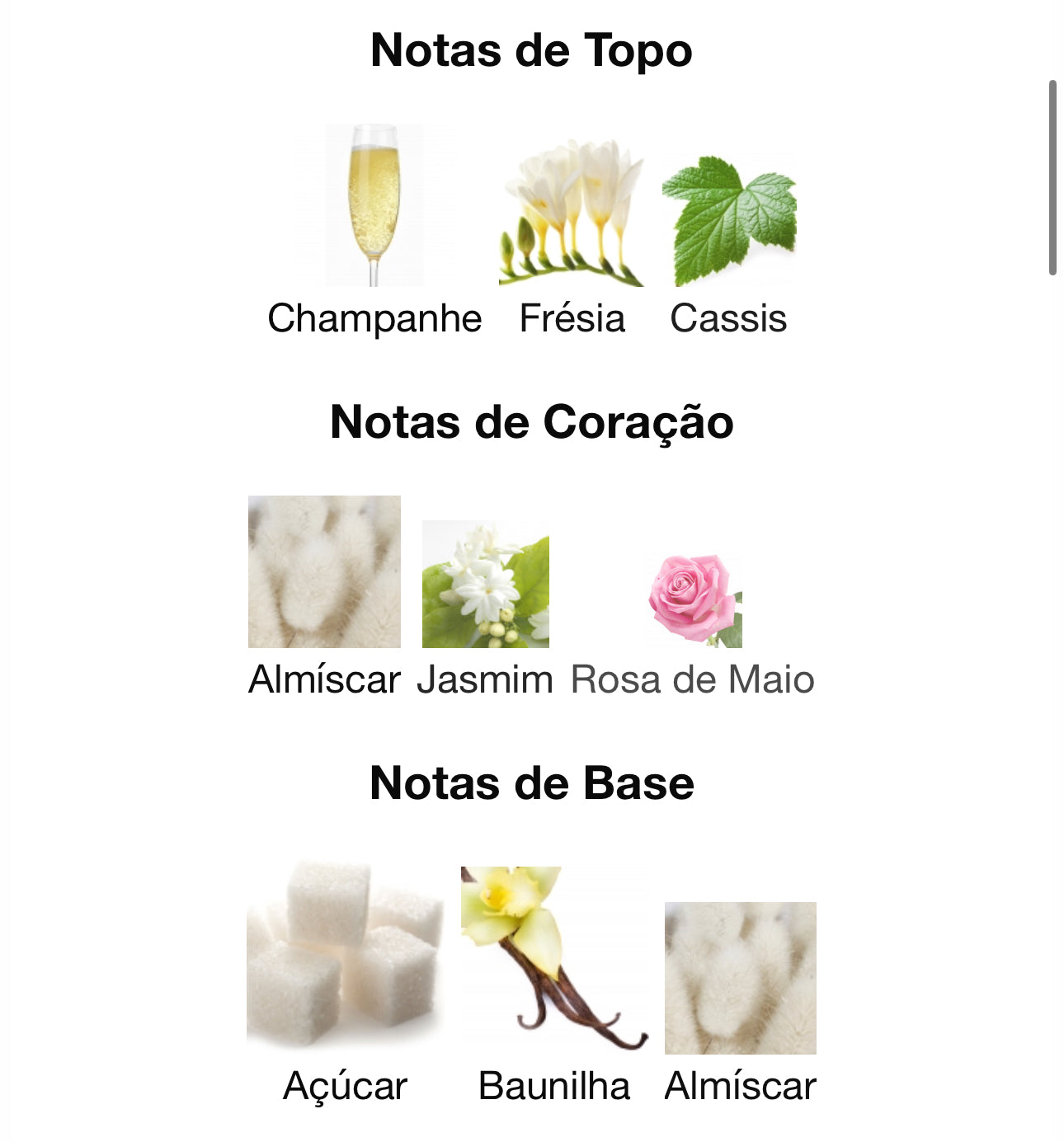 Khair Felicity Eau de Parfum 100 mL | Paris Corner