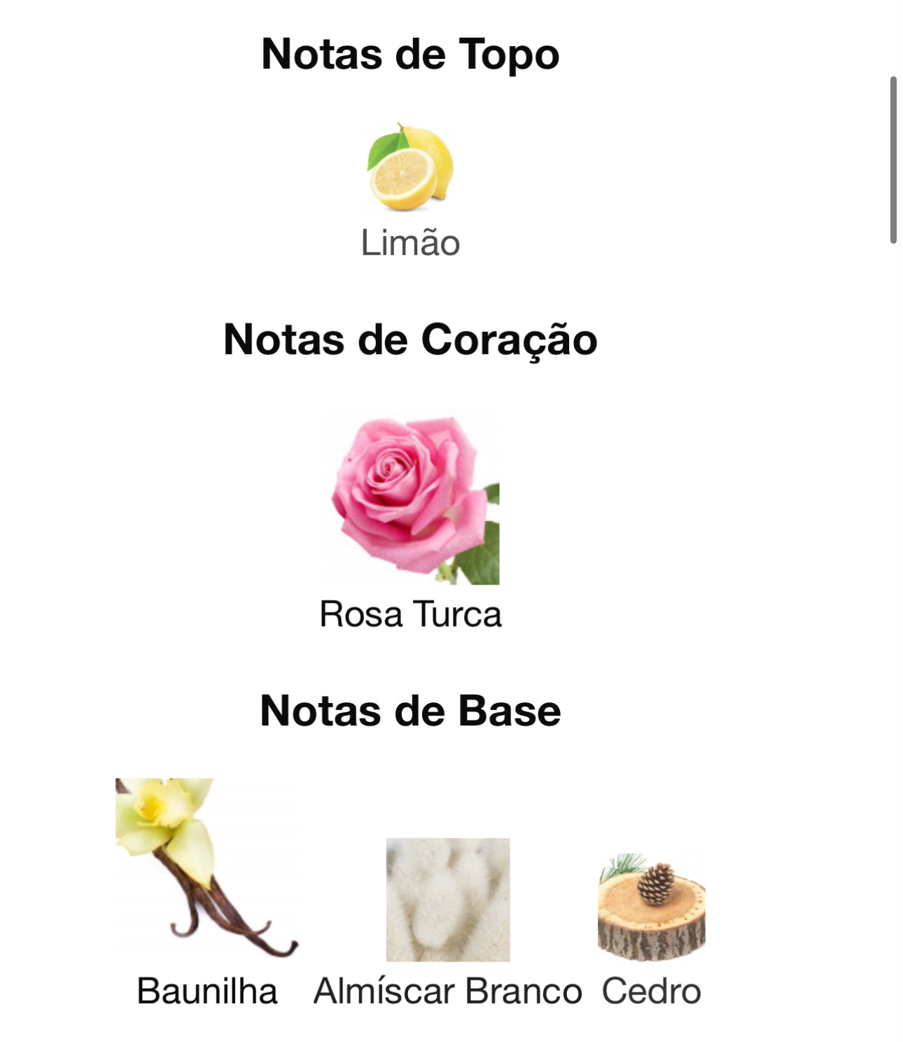 Montaigne Vanille Eau de Parfum 100 mL | Maison Alhambra