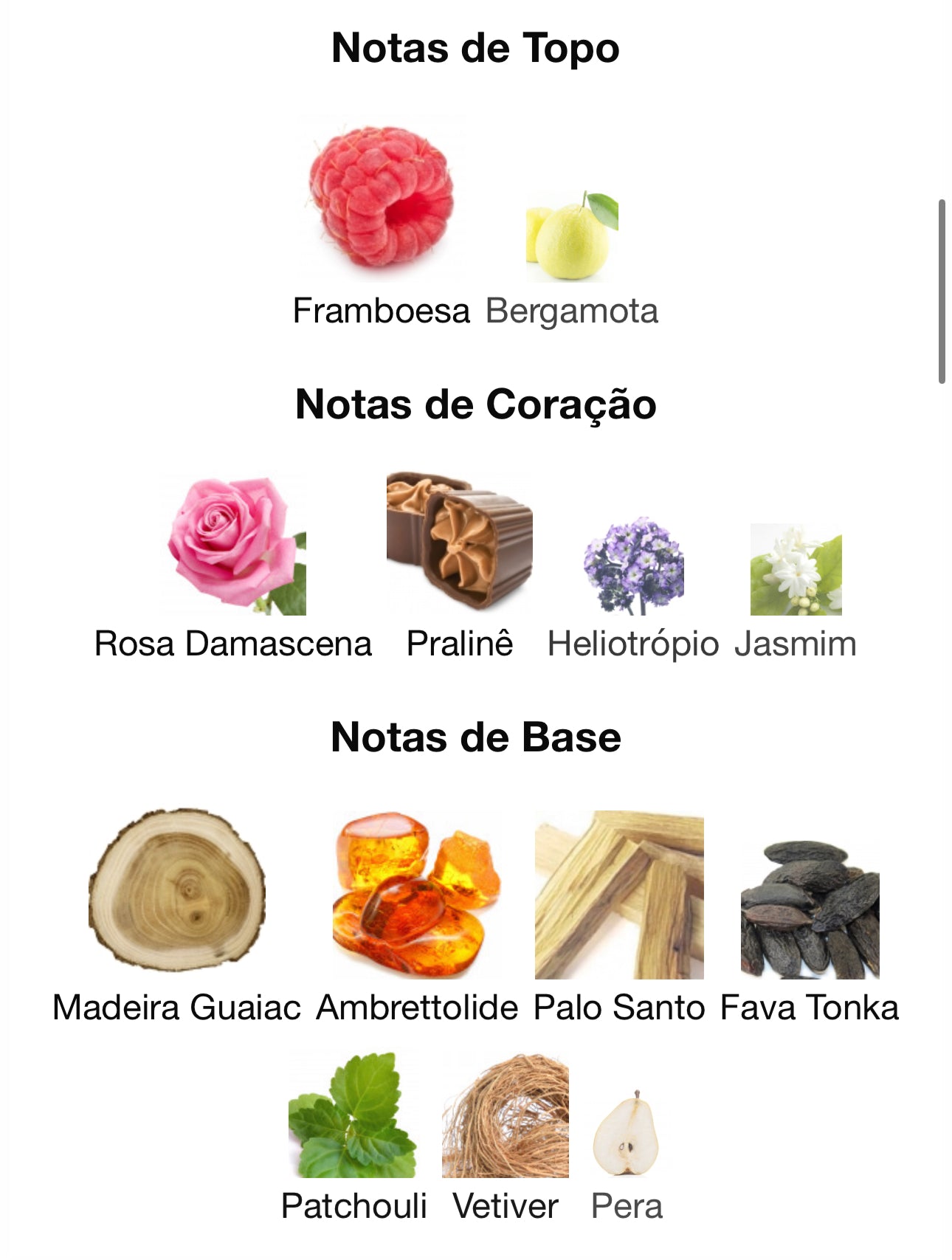 Ophidian Black Cherry Eau de Parfum 100 mL | Paris Corner