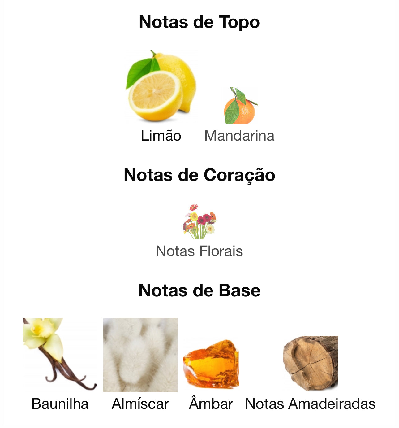 Decant Nudo Green Iris Eau de Parfum 5 mL Frangrance World