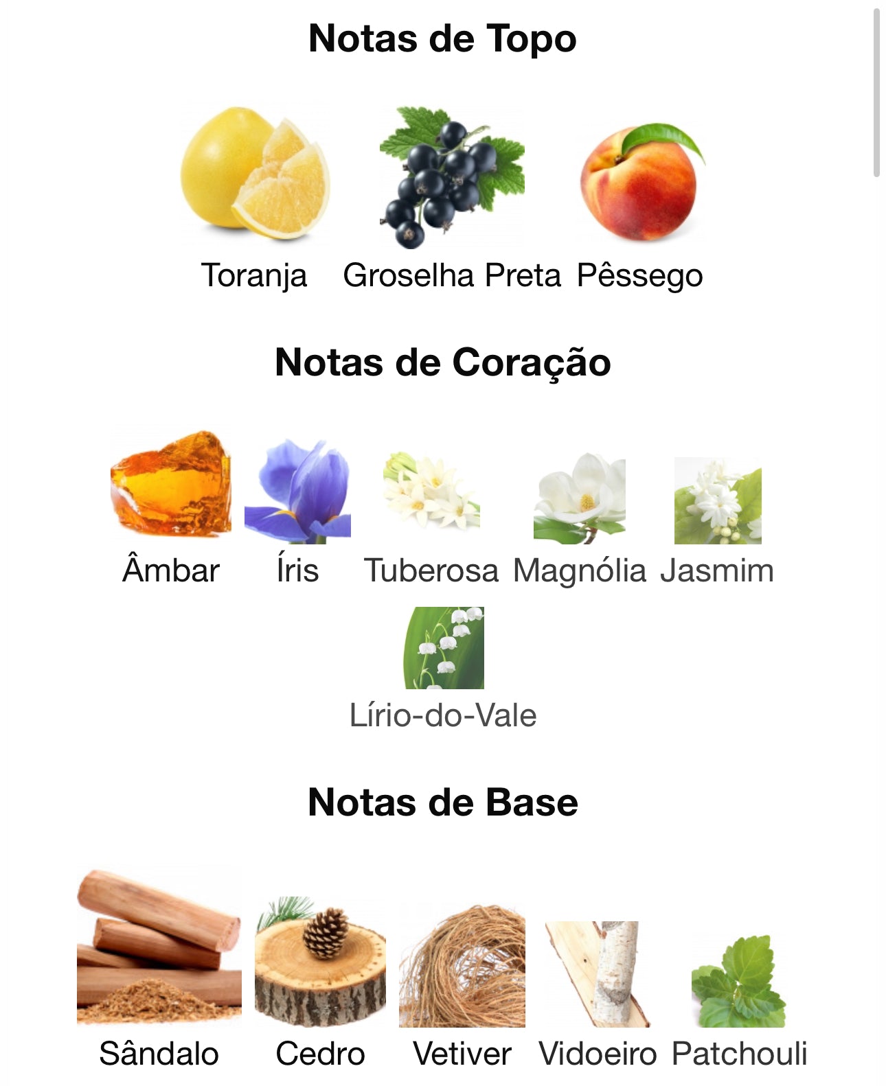 Diwani Rabat Eau de Parfum 100 mL | French Avenue