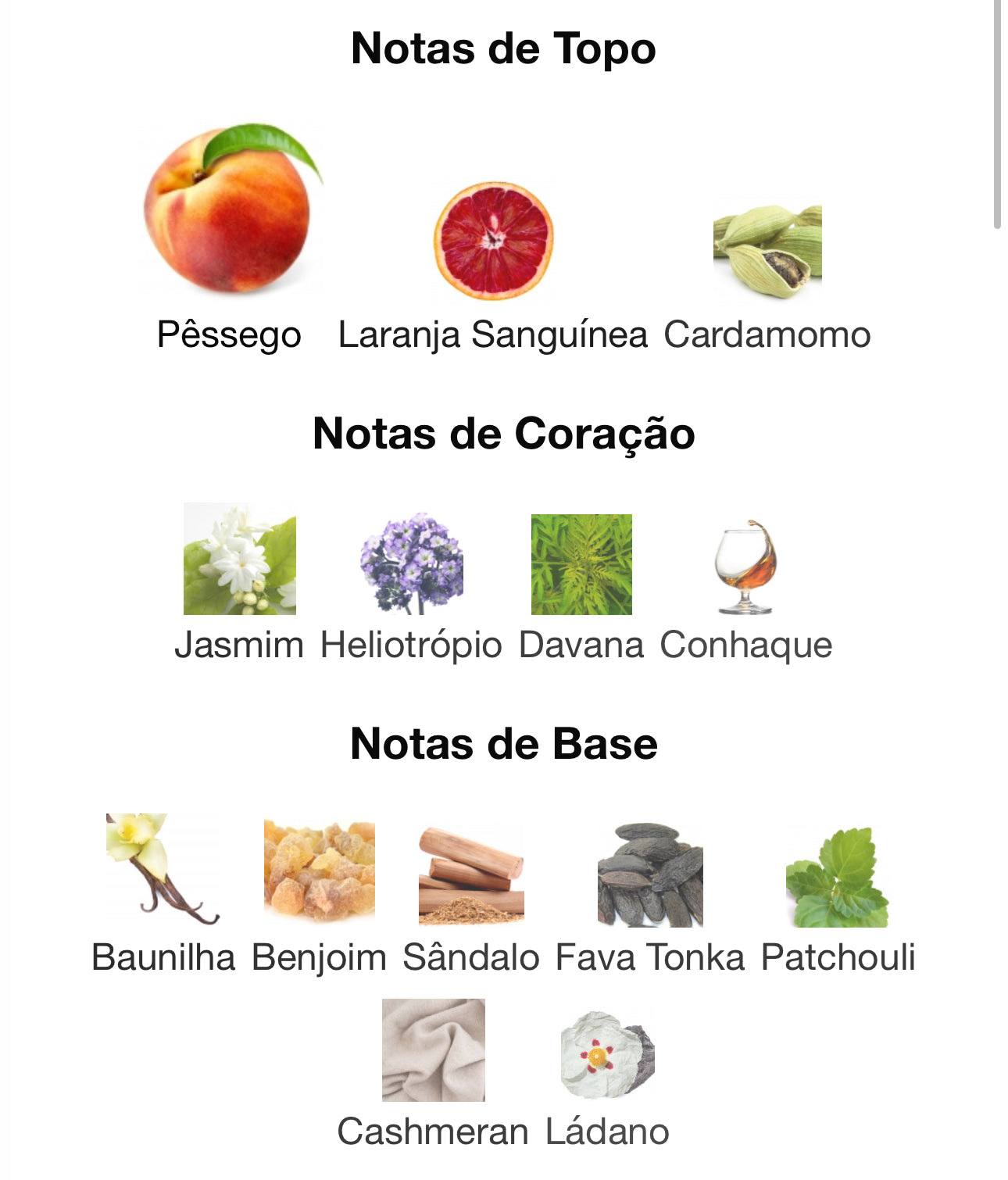 Decant Taskeen Eau de Parfum 5 mL | Paris Corner