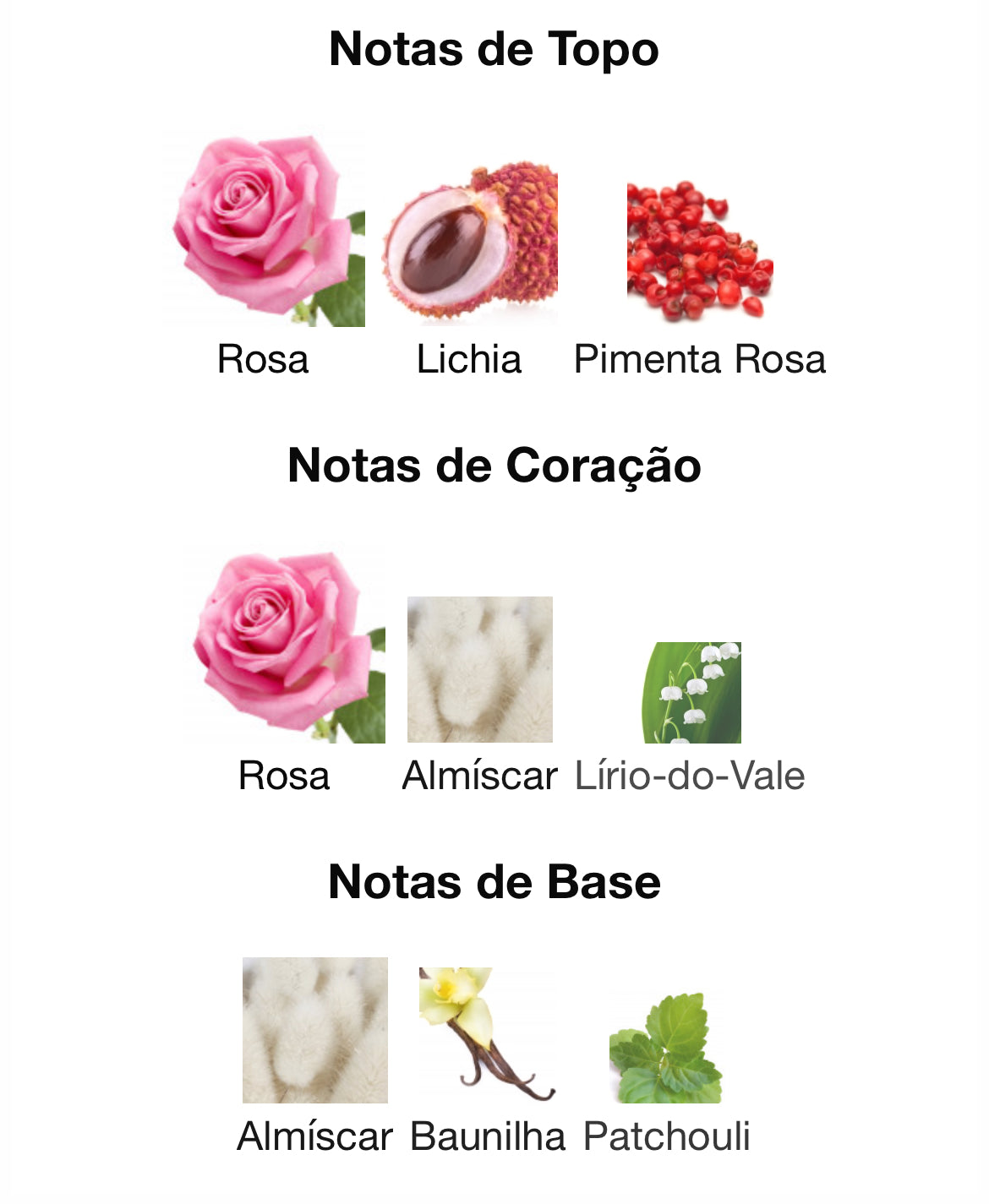 Mohra Silky Rose Eau de Parfum 100ml