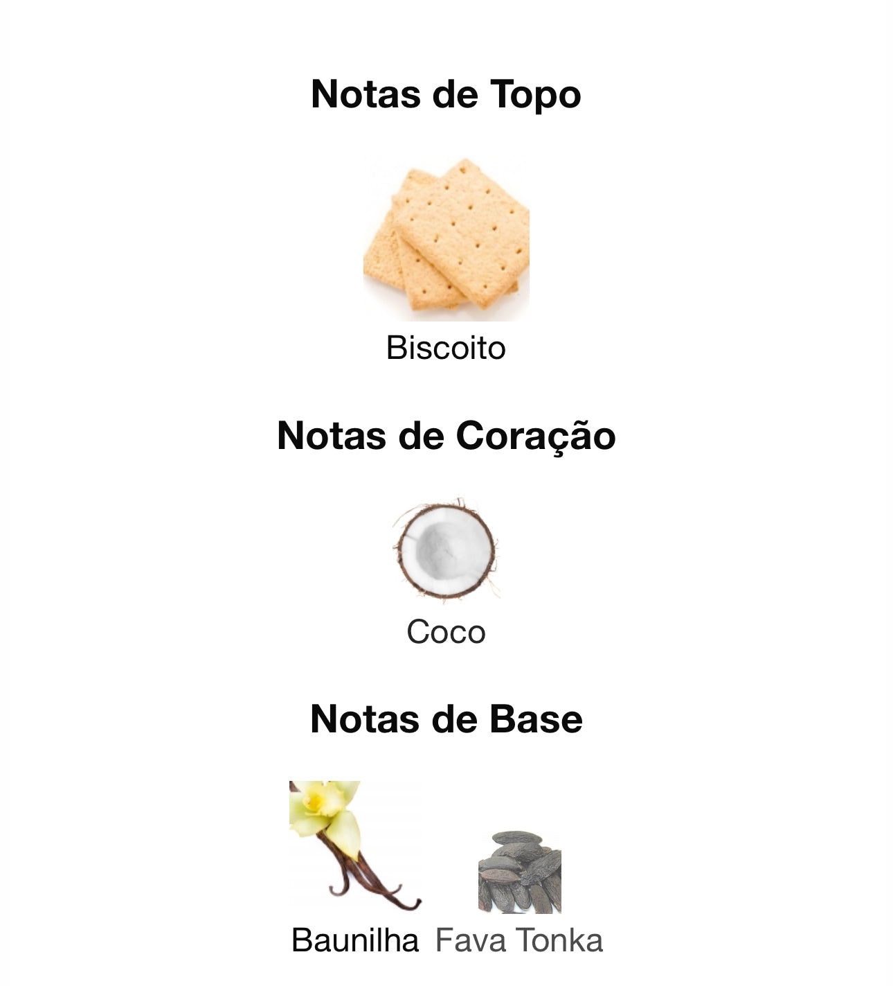 Creamy Biscuit Eau de Parfum 100 mL | Paris Corner