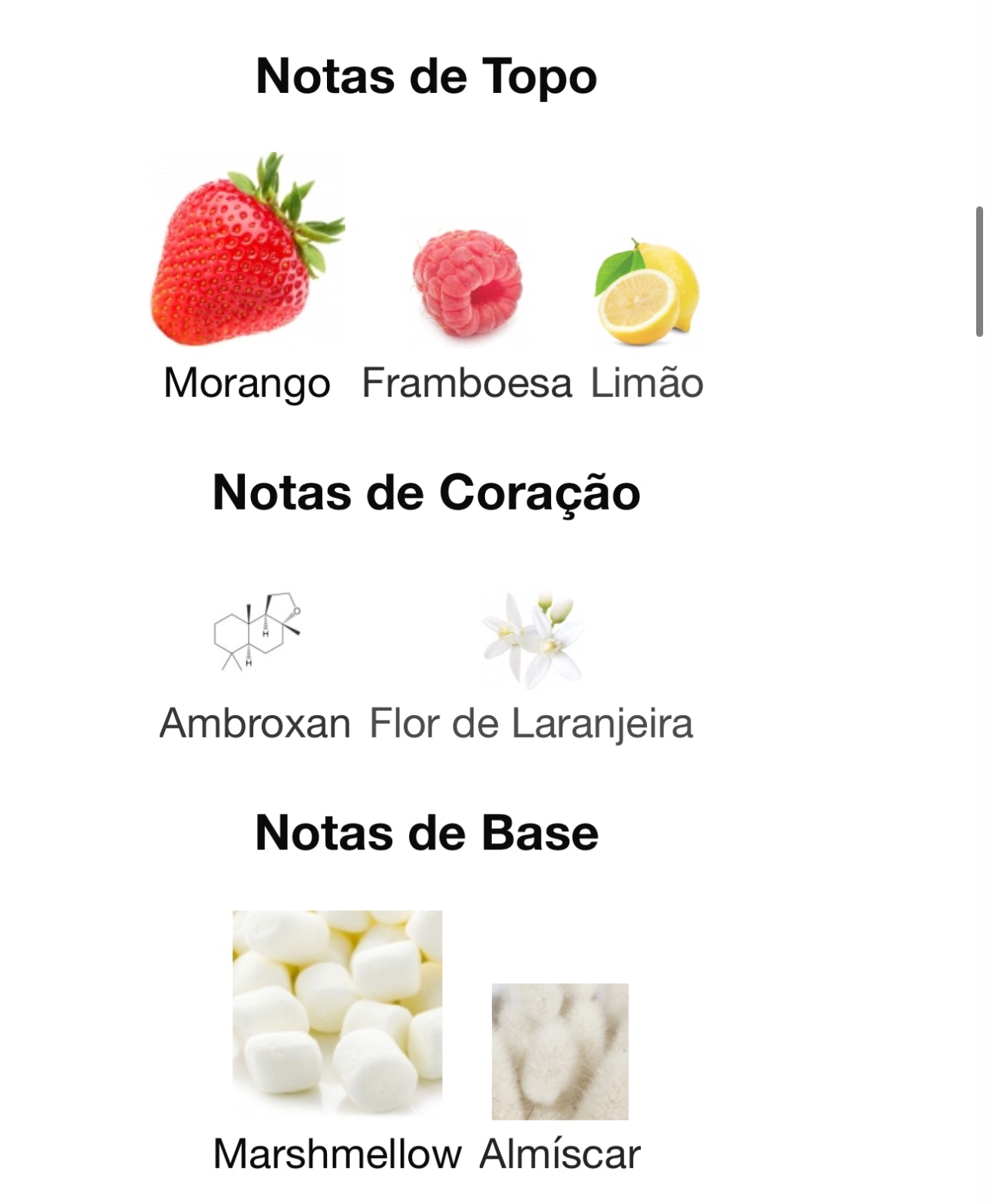 Marshmallow Blush Eau de Parfum 100 mL | Paris Corner