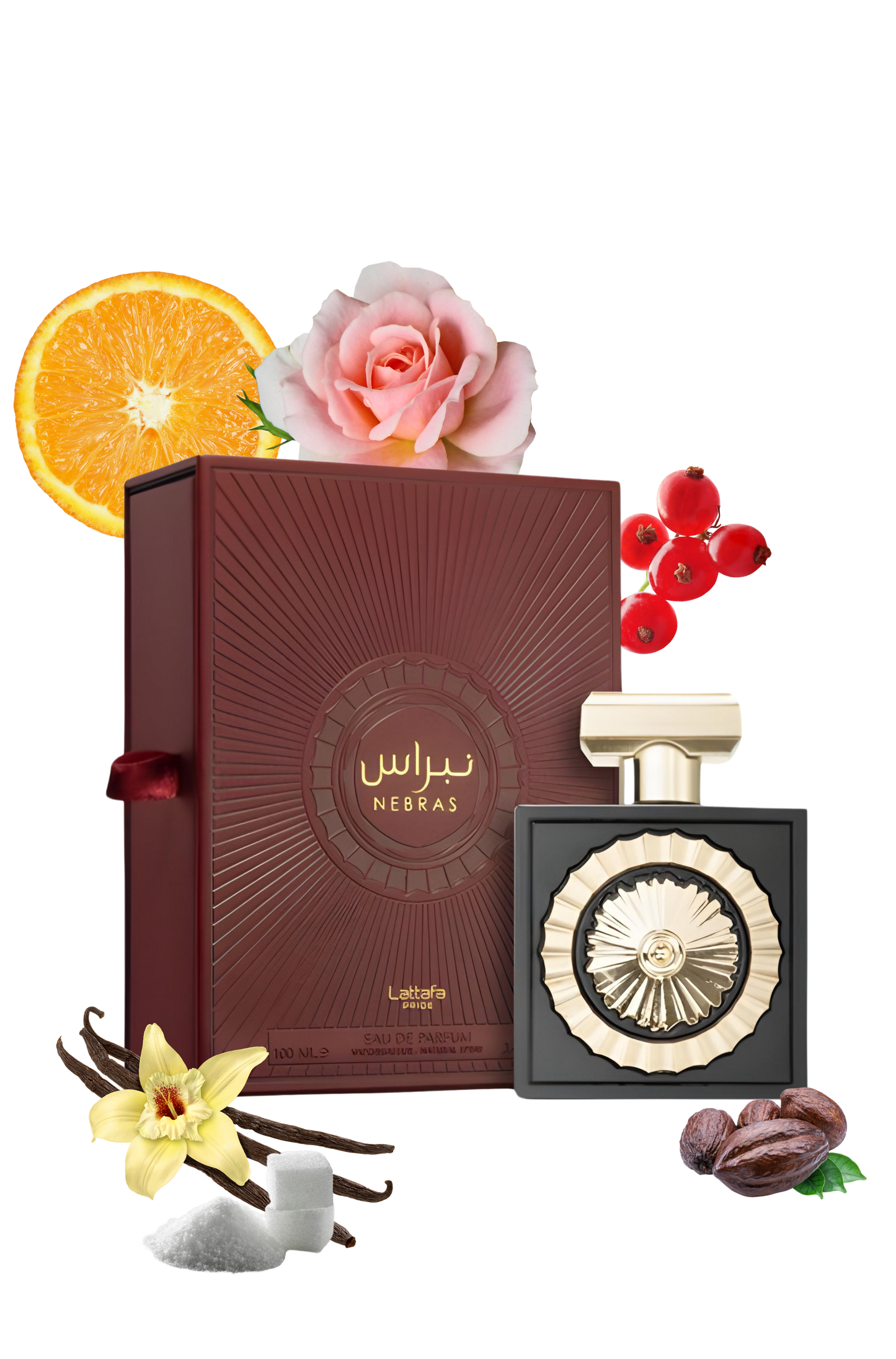 Nebras Eau de Parfum 100mL | Lattafa