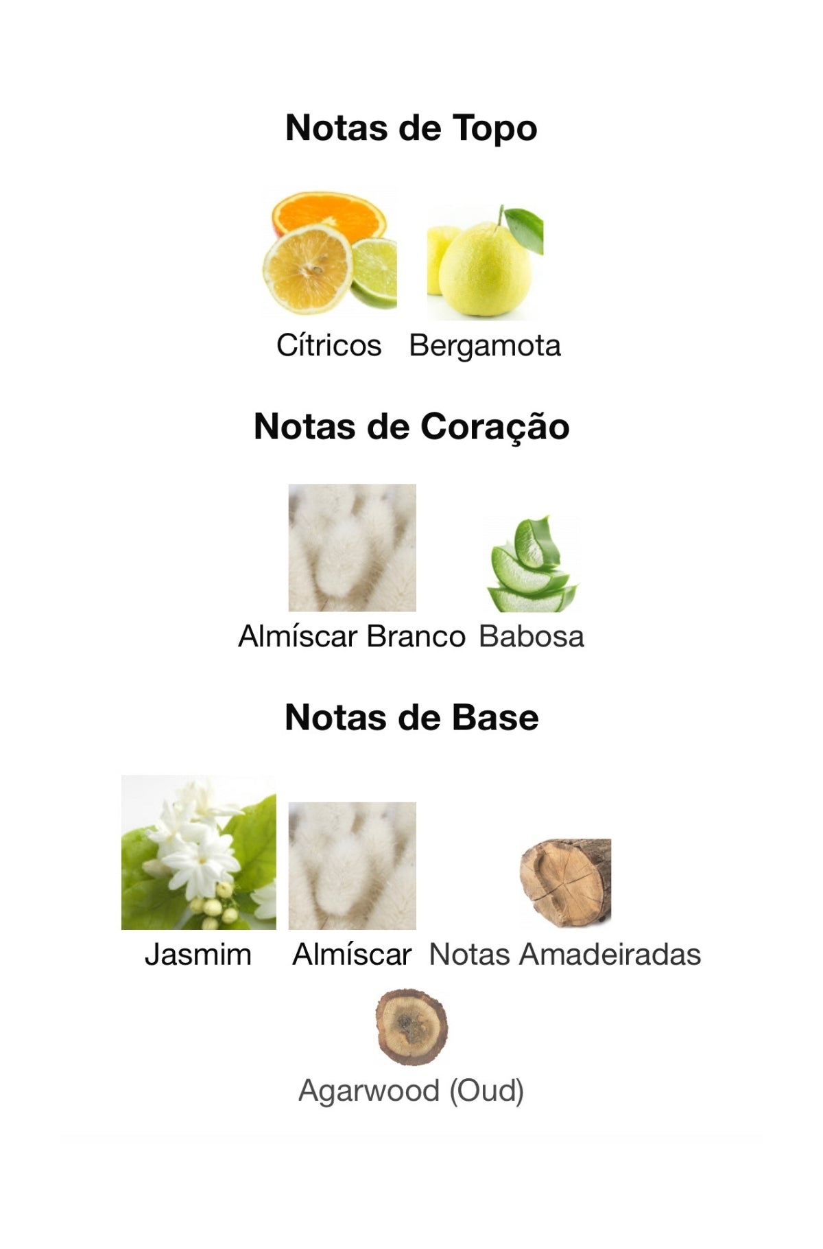 Notad do Perfume Ameerat Al Arab: Citricos, bergamota, almíscar branco, jasmim