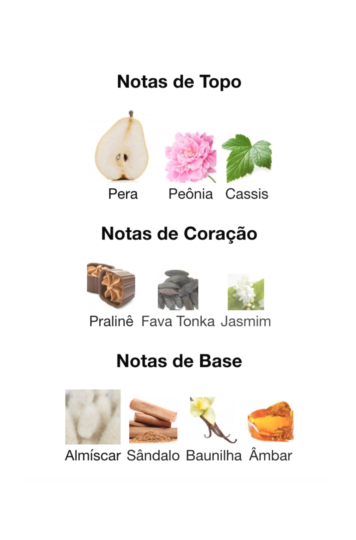 Decant The Kingdom Lattafa Perfumes (5ml)