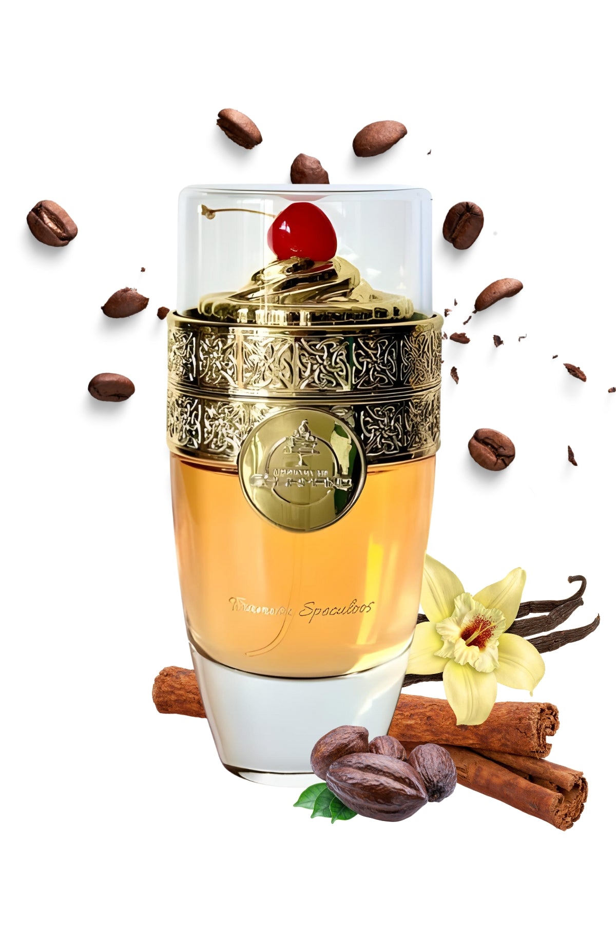 Tiramisu Speculoos Eau de Parfum 10 mL | Paris Corner