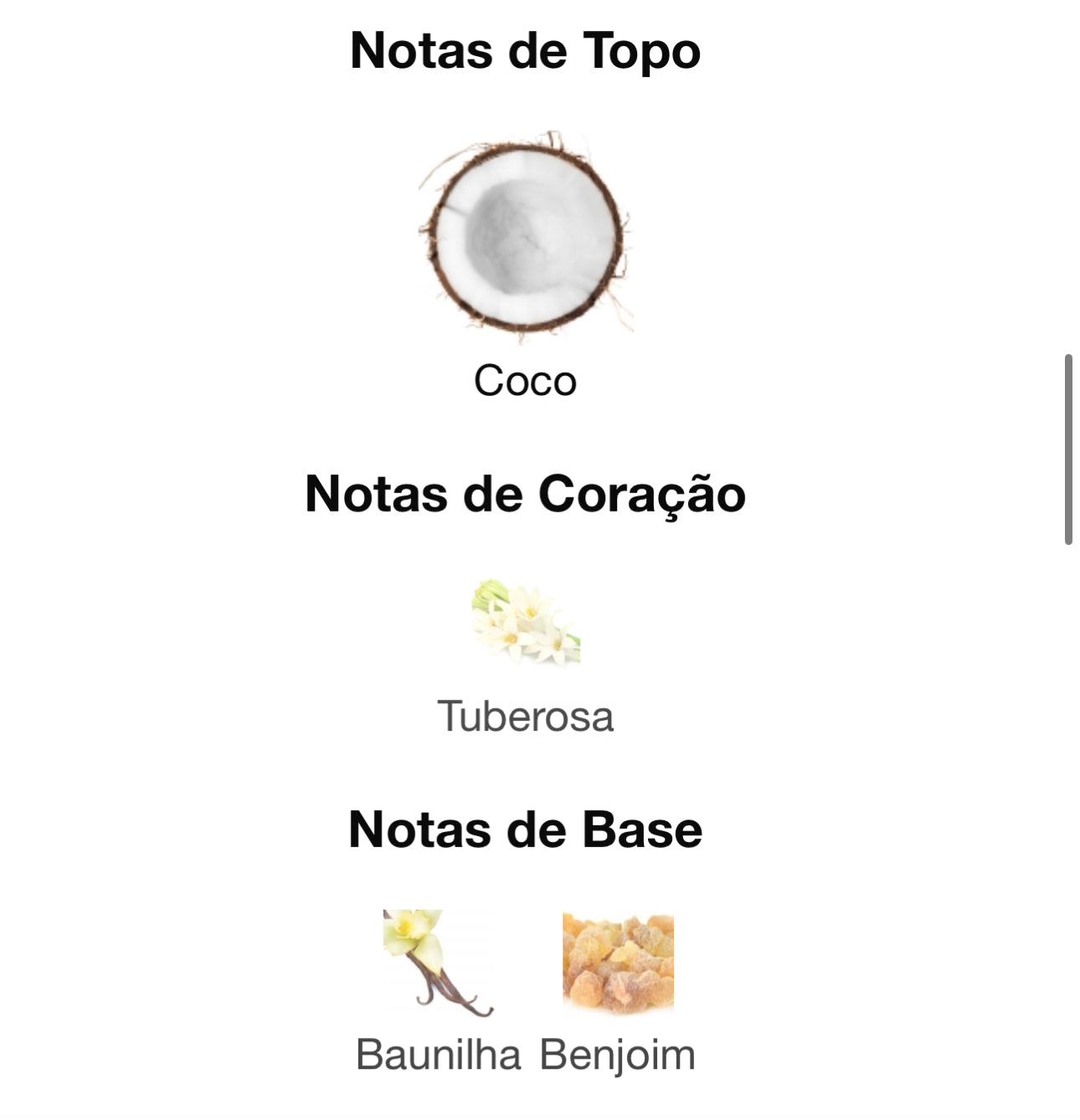 Decant Coconut Leche Eau de Parfum 5 mL | French Avenue