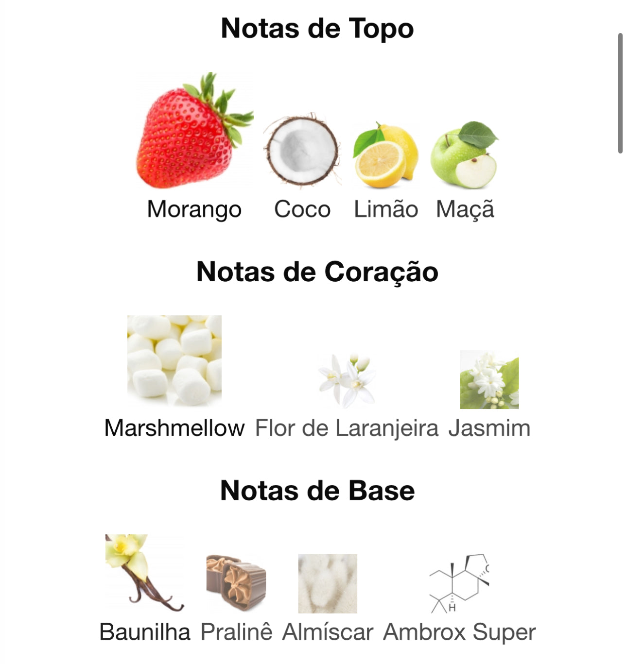 Sh’mallow Fluff Eau de Parfum 100 mL | French Avenue