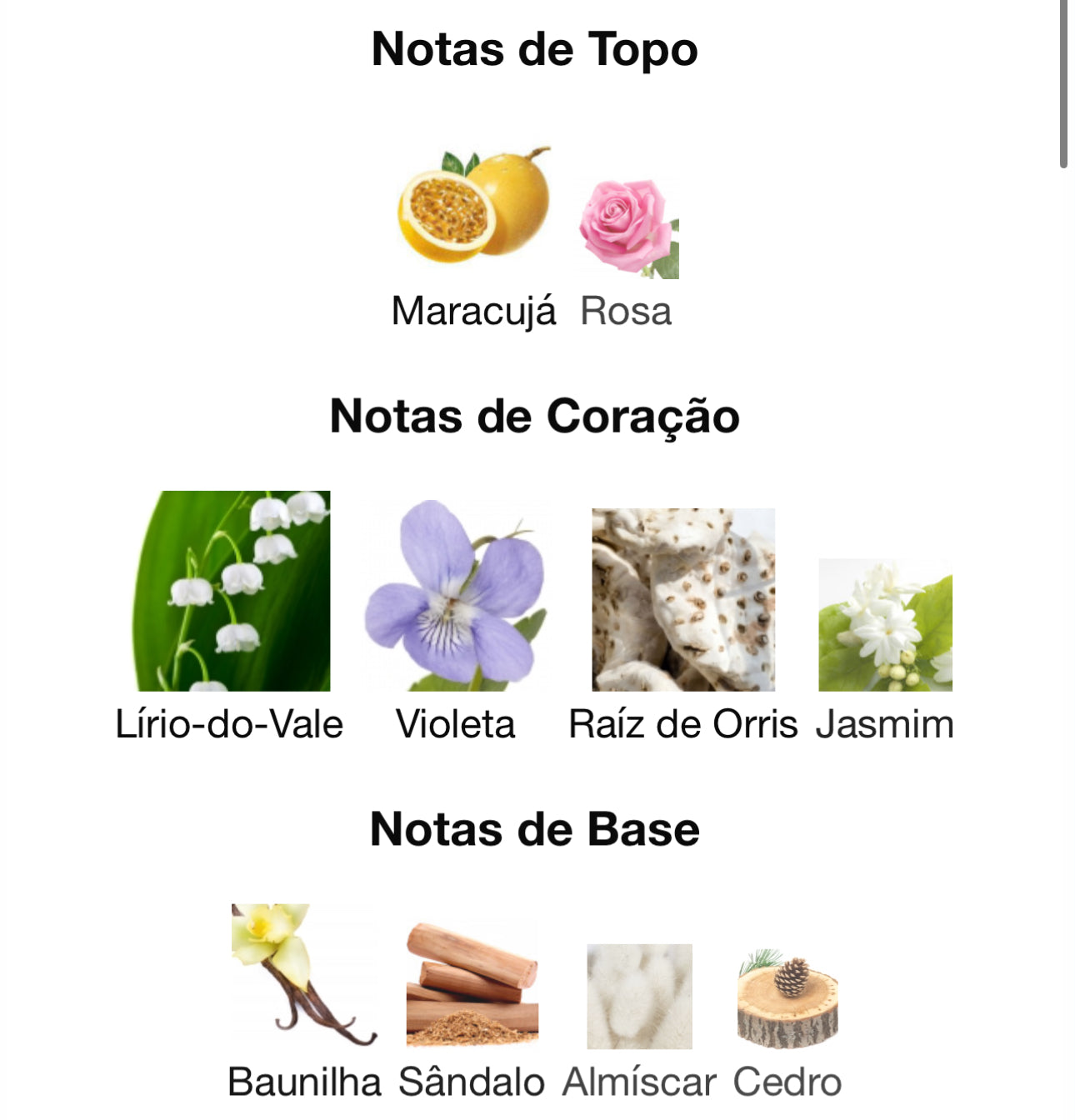 Fayora Eau de Parfum 100 mL | Paris Corner