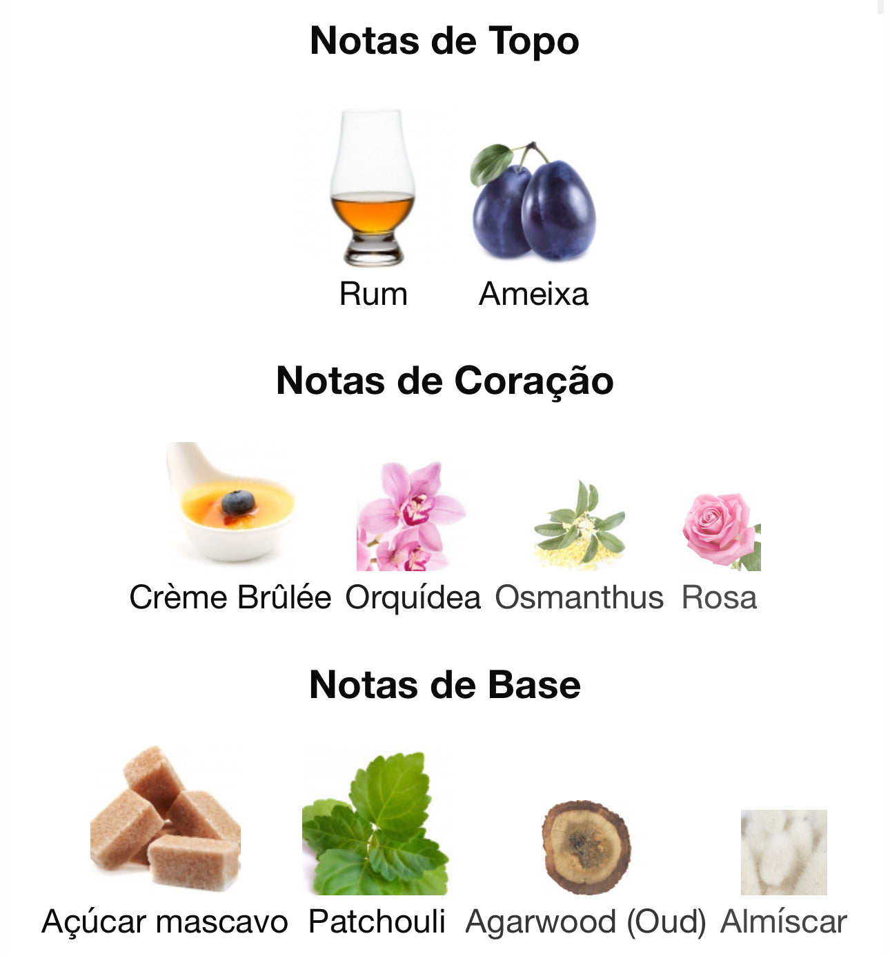 Elysia Sugar Patchouli Eau de Parfum 100 mL | Fragrance World