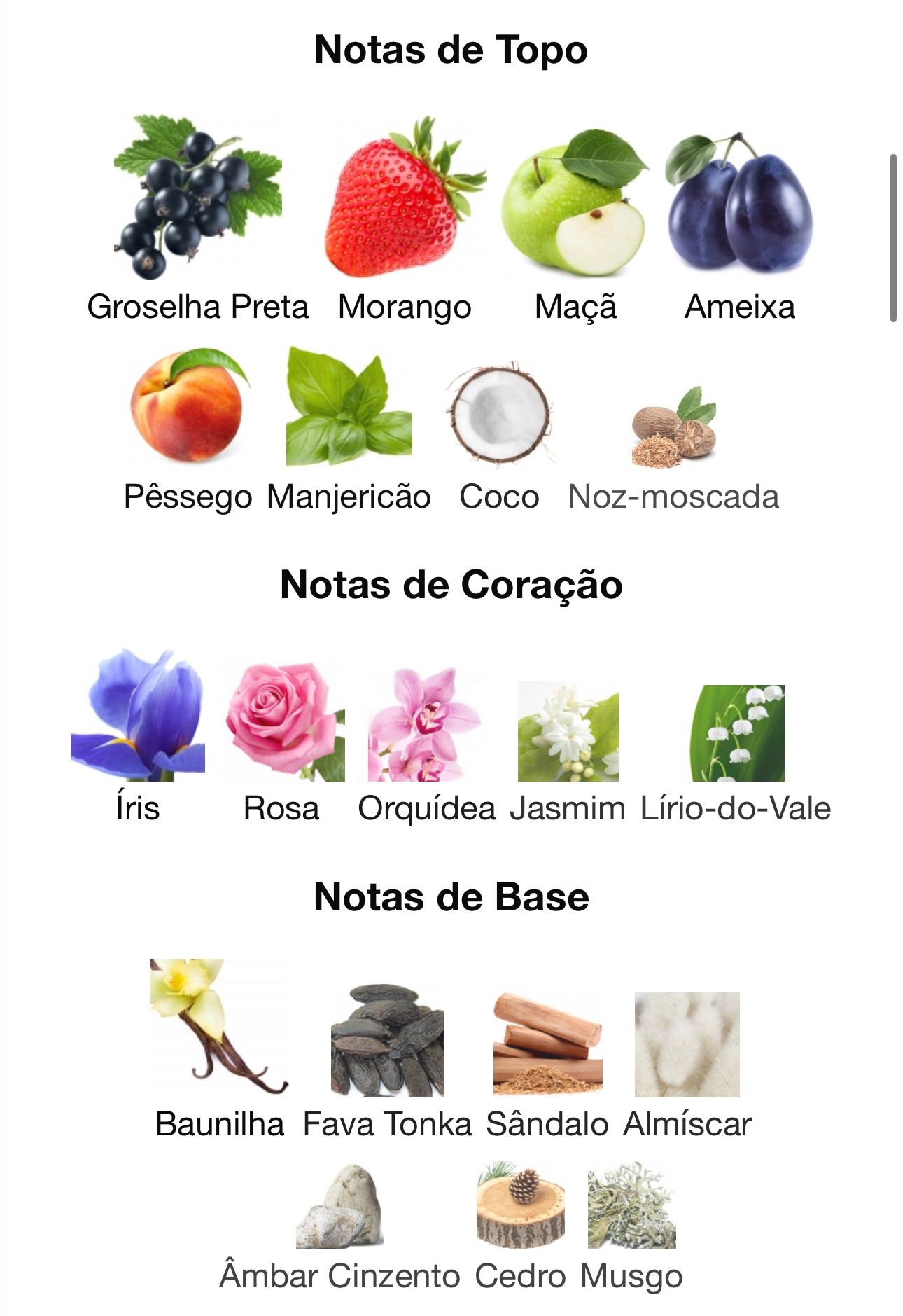 Juicy Melange Eau de Parfum 100 mL | Paris Corner