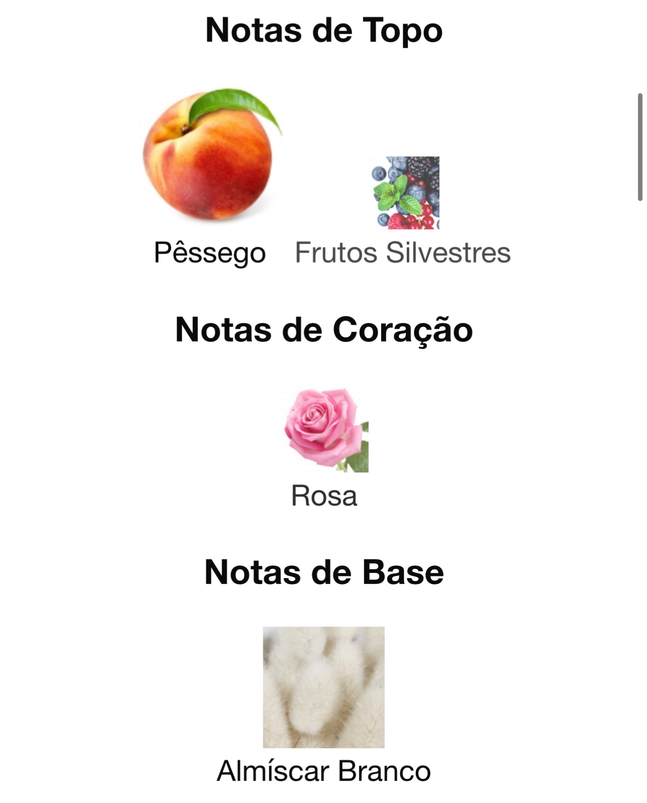 Decant Island Breeze Eau de Parfum 5 mL | Armaf