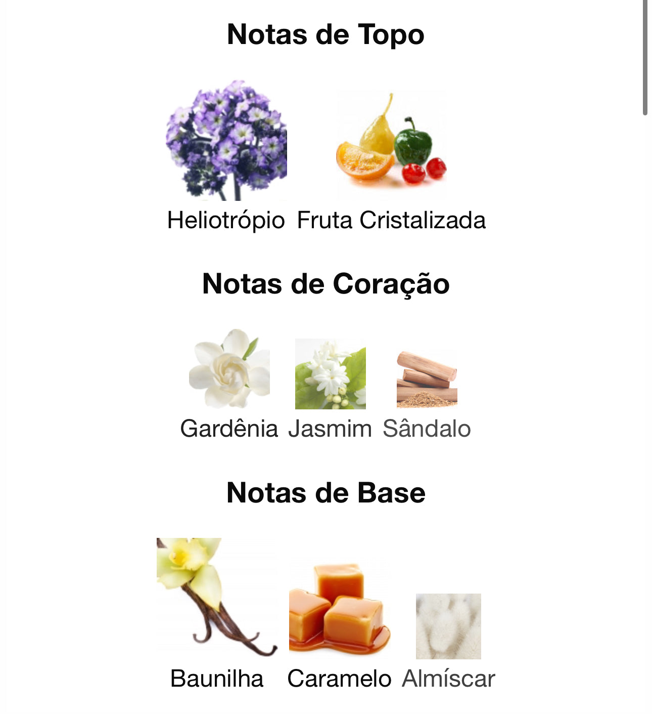 Decant Bouquet of Euphoria Eau de Parfum 5 mL | Fragrance World