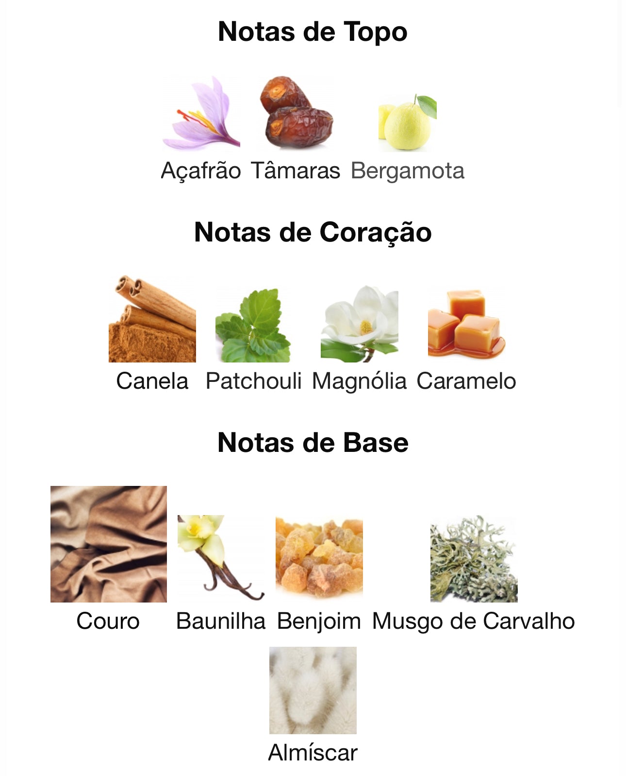 Nile Whispers Eau de Parfum 100 mL | Paris Corner