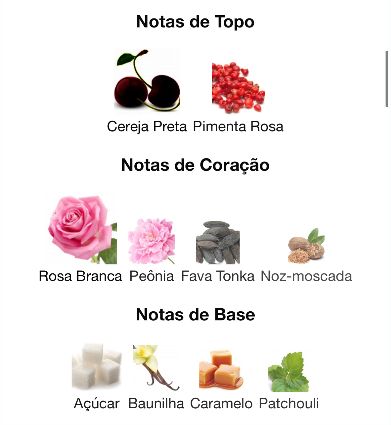 Decant Ana Abiyedh Scarlet Eau de Parfum 5 mL | Lattafa