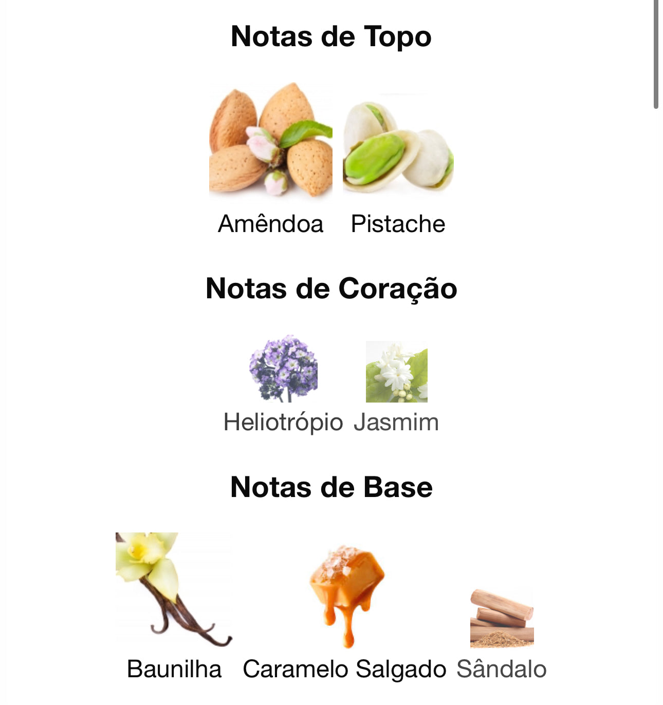 Decanr Minya Eau de Parfum 5 mL | Paris Corner