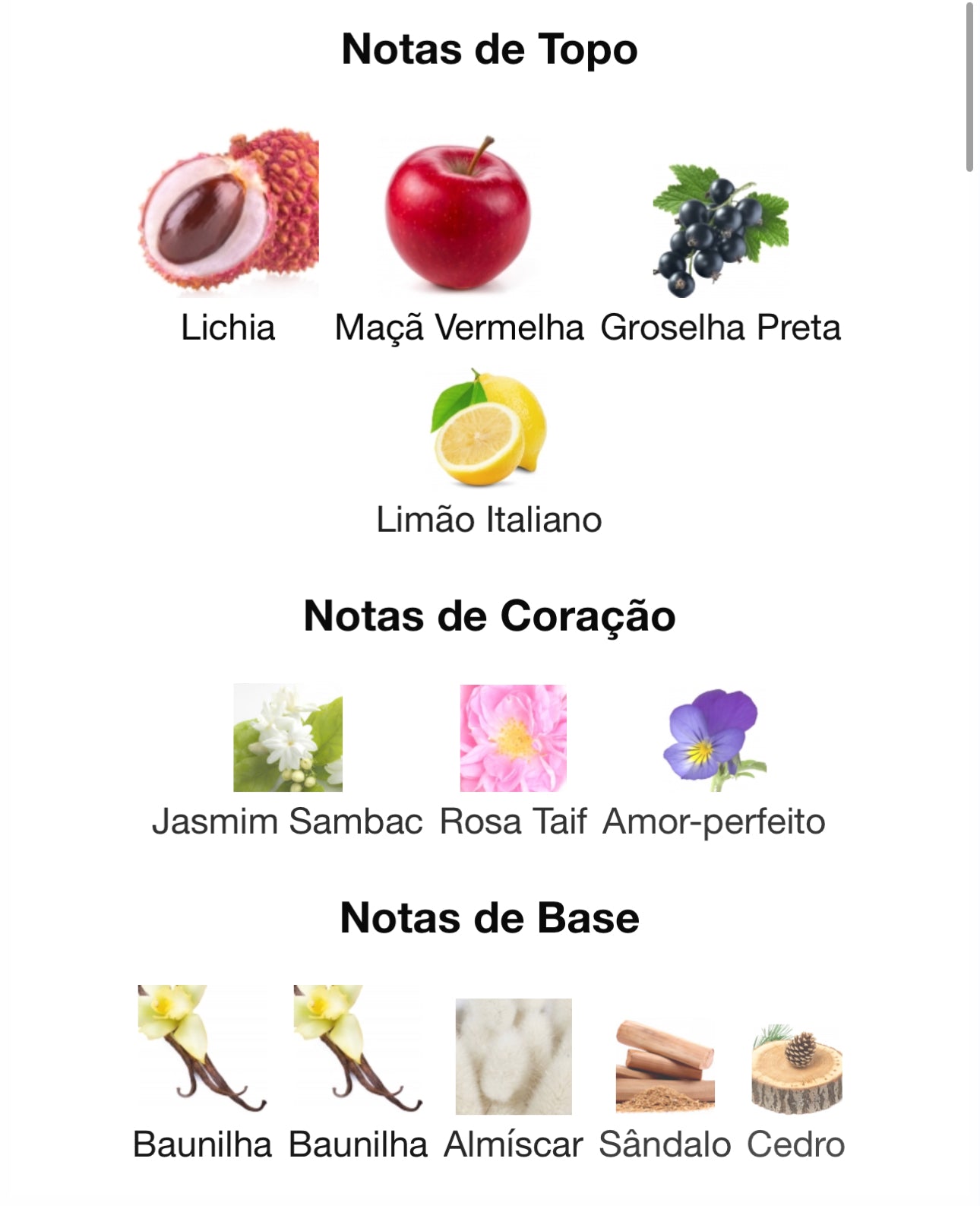 Khair Fusion Eau de Parfum 100 mL | Paris Corner