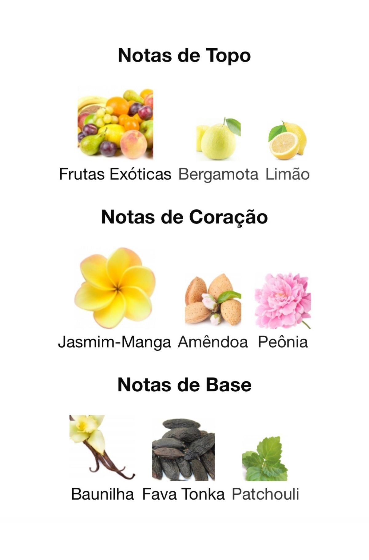 Decant Fayora Oshino Eau de Parfum 5 mL | Paris Corner