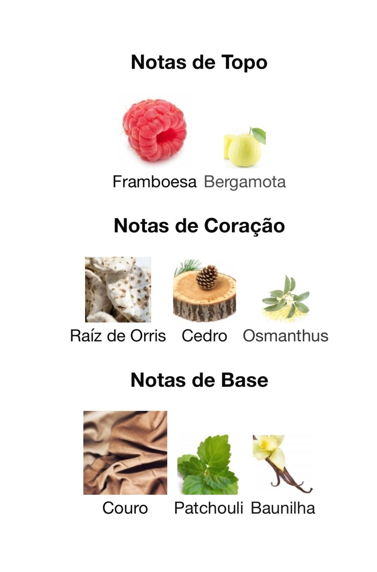 King of Arabia Eau de Parfum 100 mL | Lattafa