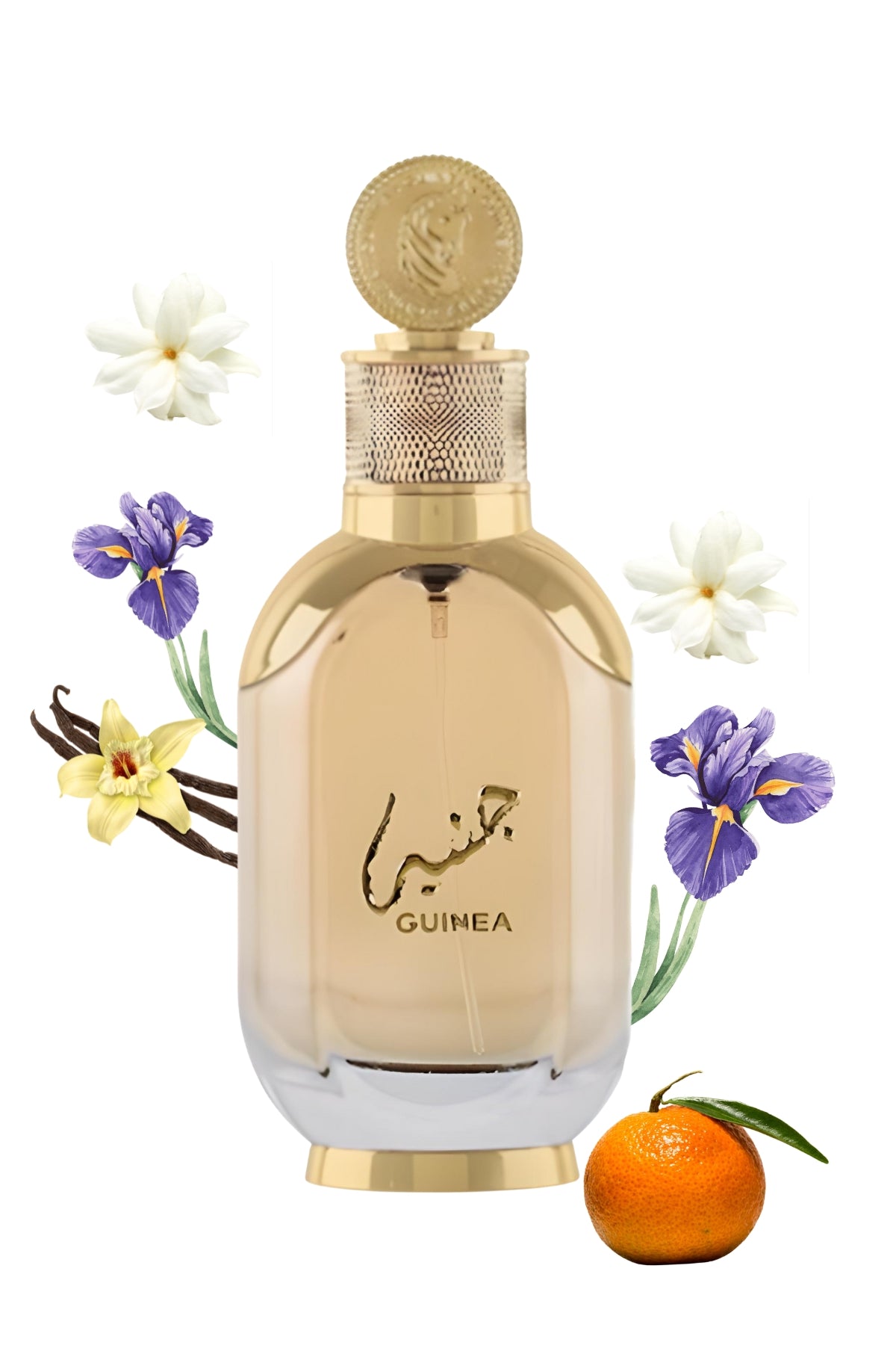 Guinea 100 ml Lattafa Eau de Parfum